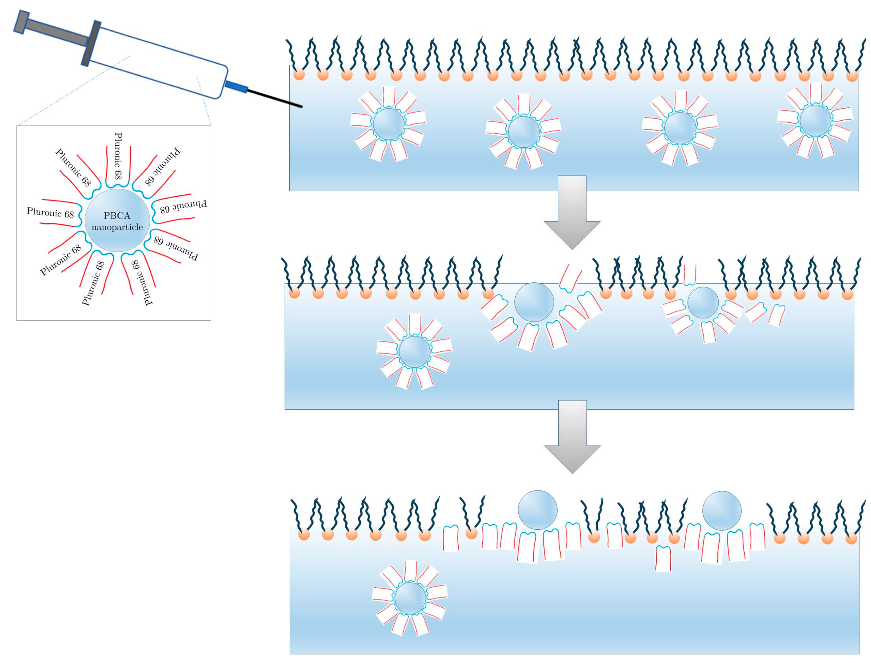 Model Membrane System Interfacial Interactions of Nanoparticles and Molecular Nanostructures ...