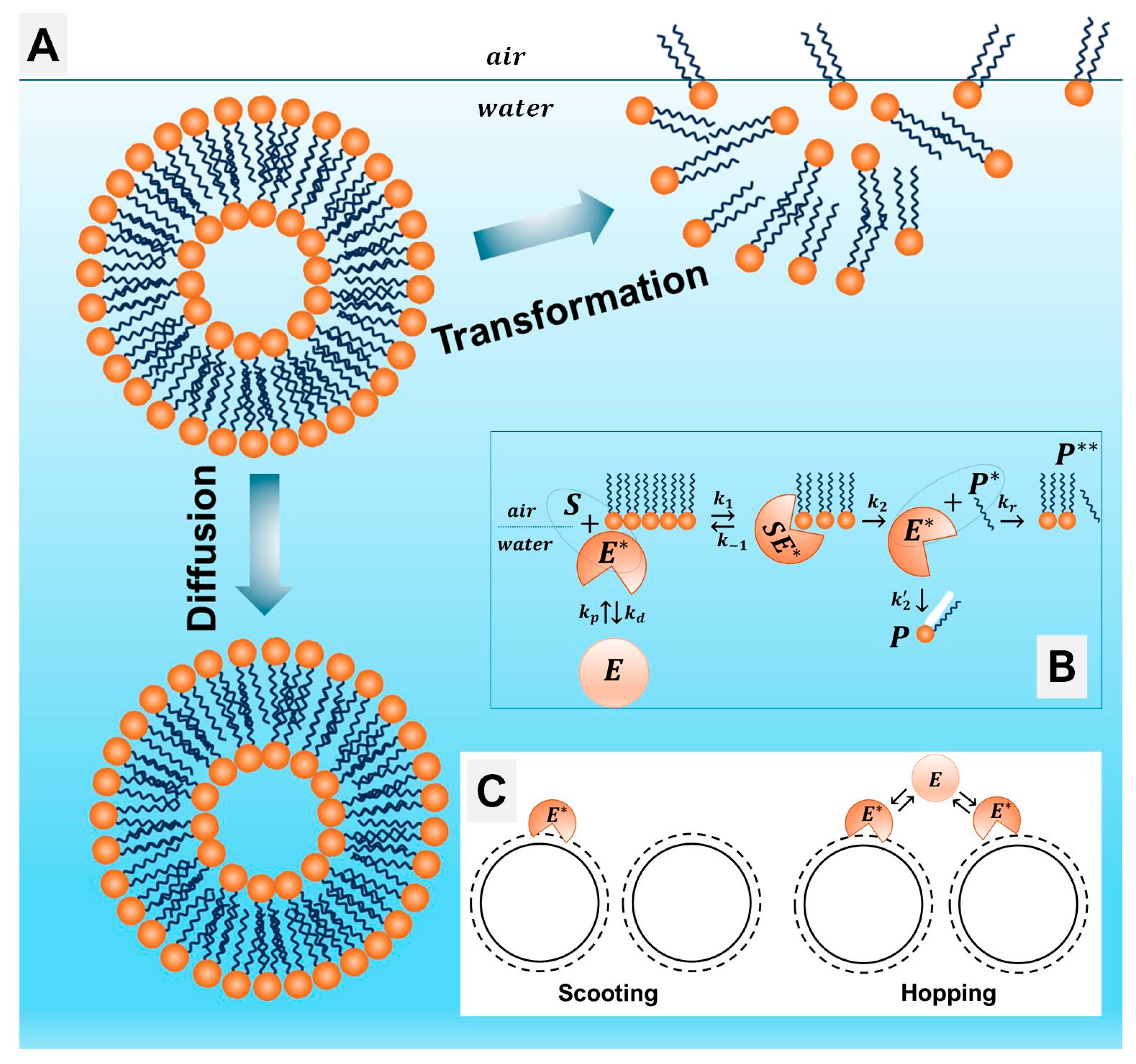Model Membrane System Interfacial Interactions of Nanoparticles and Molecular Nanostructures ...