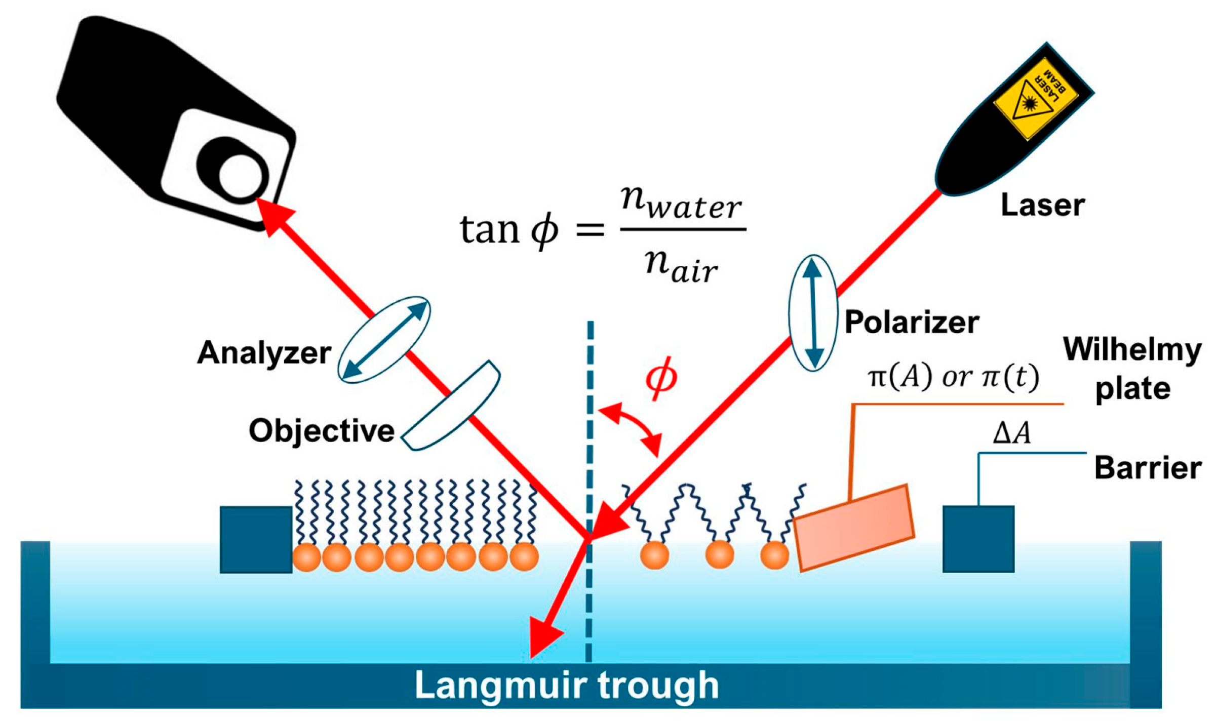 Model Membrane System Interfacial Interactions of Nanoparticles and Molecular Nanostructures ...