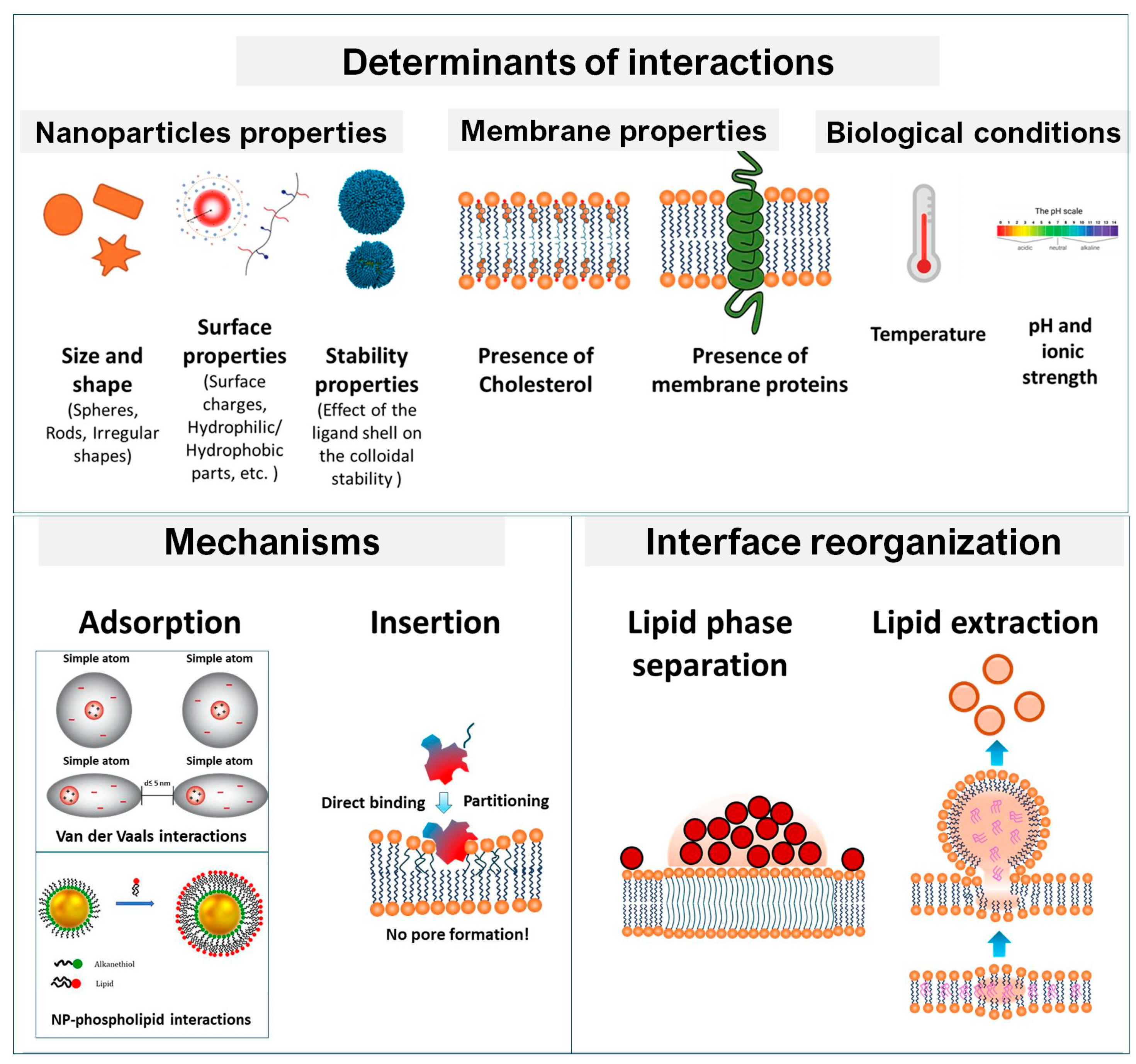 Interfacial Interactions of Nanoparticles and Molecular Nanostructures ...