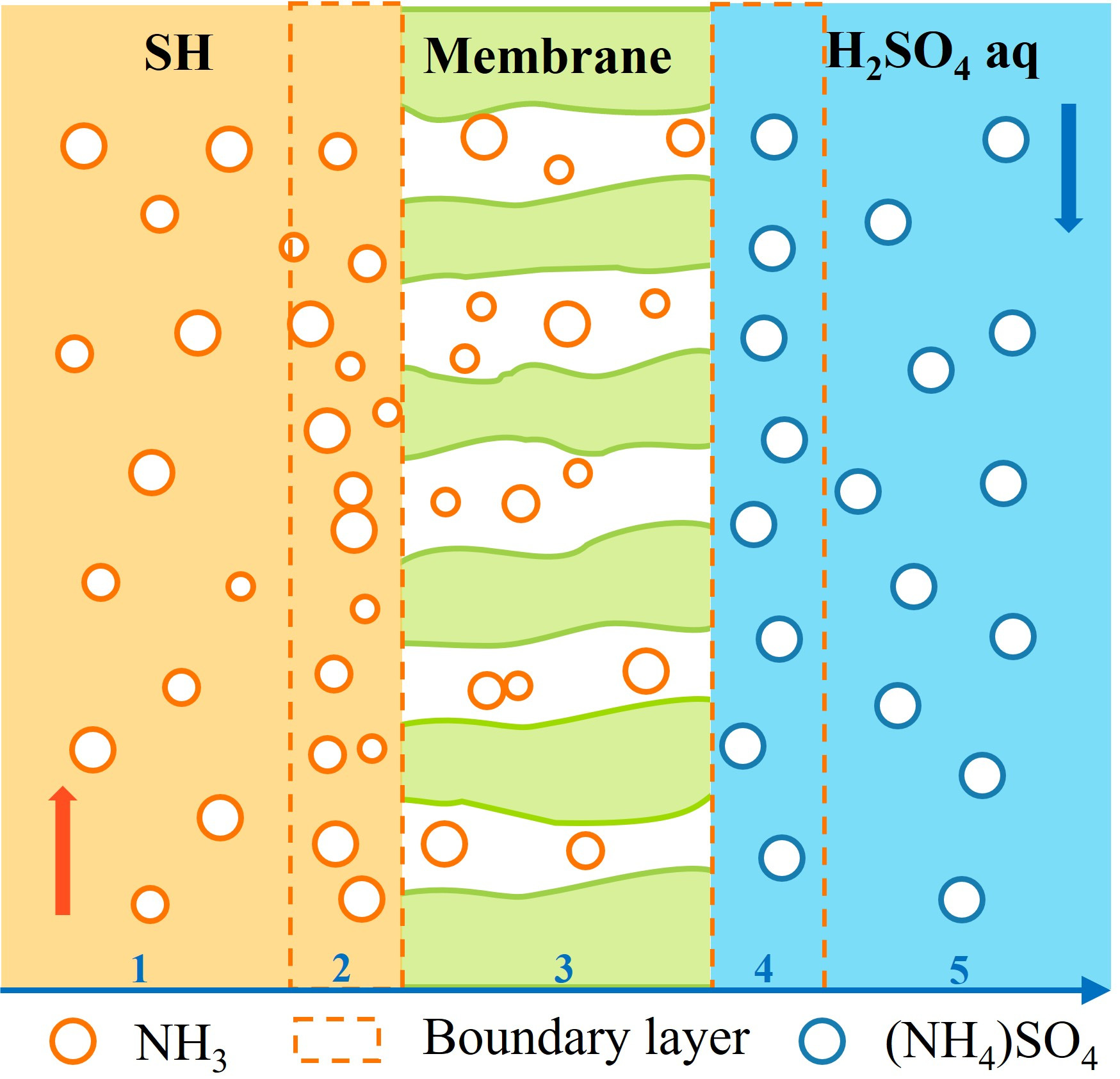 Hydrophobic Capillary Ceramic-Membrane Contactor for Recovering Ammonia ...