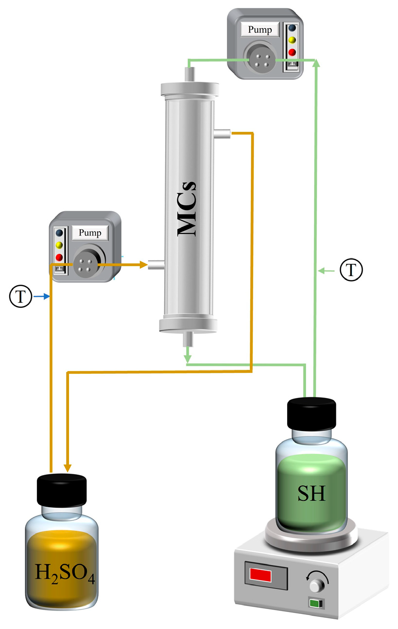 Hydrophobic Capillary Ceramic-Membrane Contactor for Recovering Ammonia ...