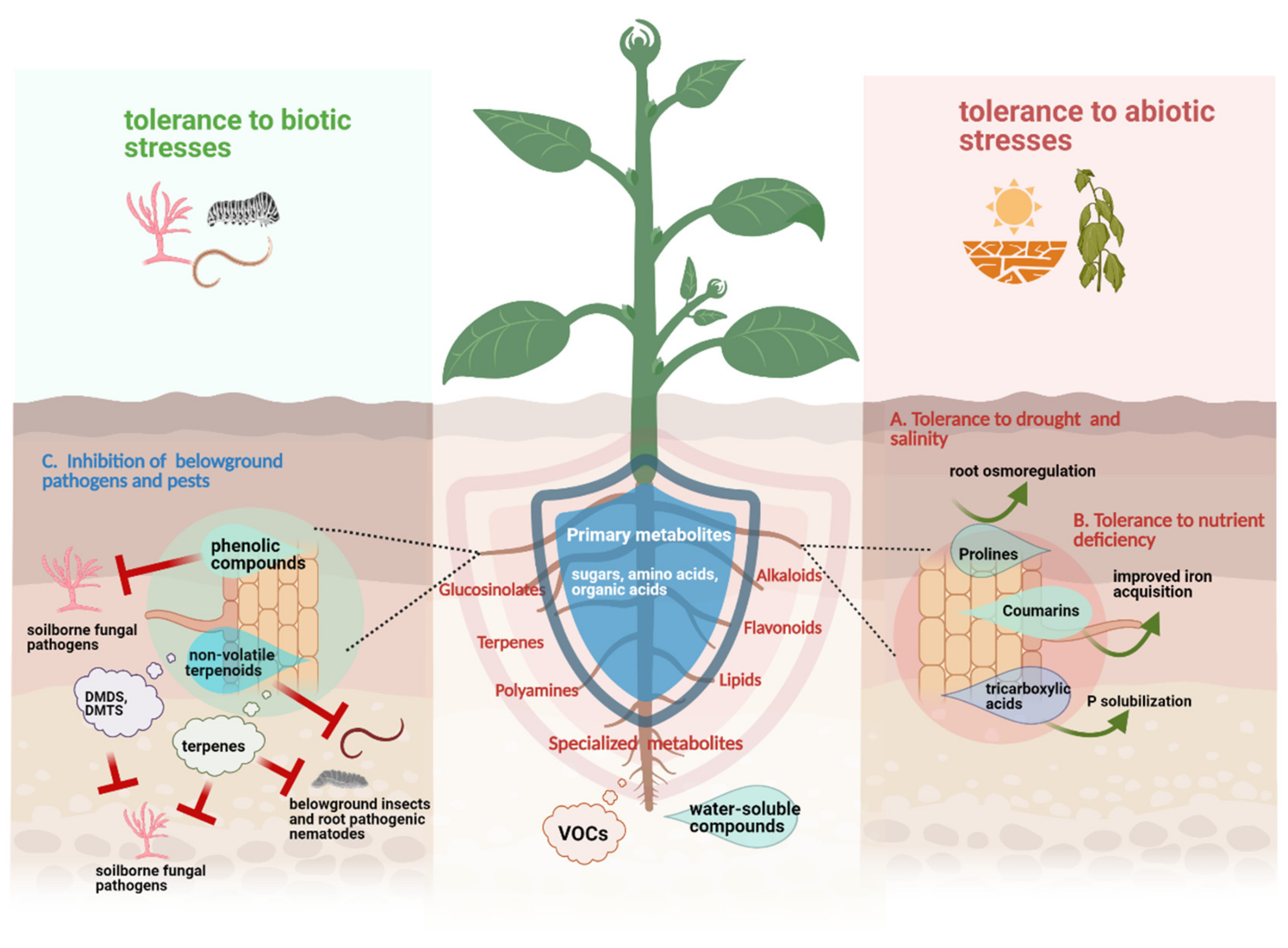 Metabolites | Free Full-Text | The Chemistry of Stress: Understanding the ' Cry for Help' of Plant Roots