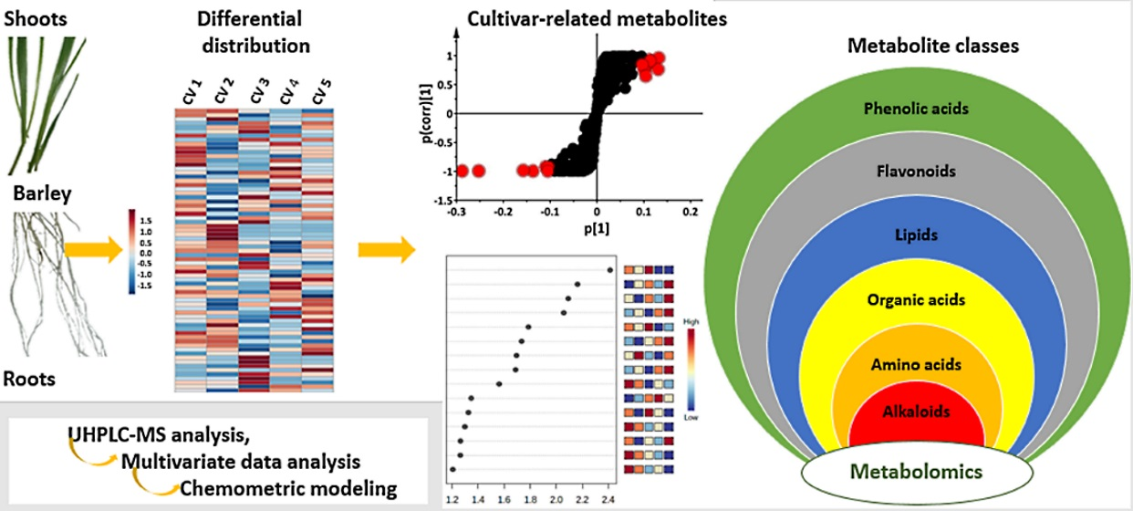 Metabolome analysis, nutrient and antioxidant potential of aerial
