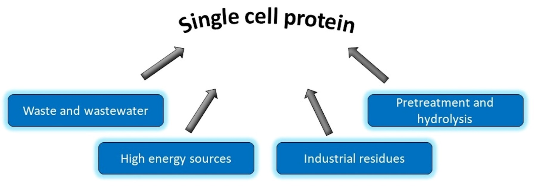 Life-cycle assessment of yeast-based single-cell protein production with  oat processing side-stream - ScienceDirect