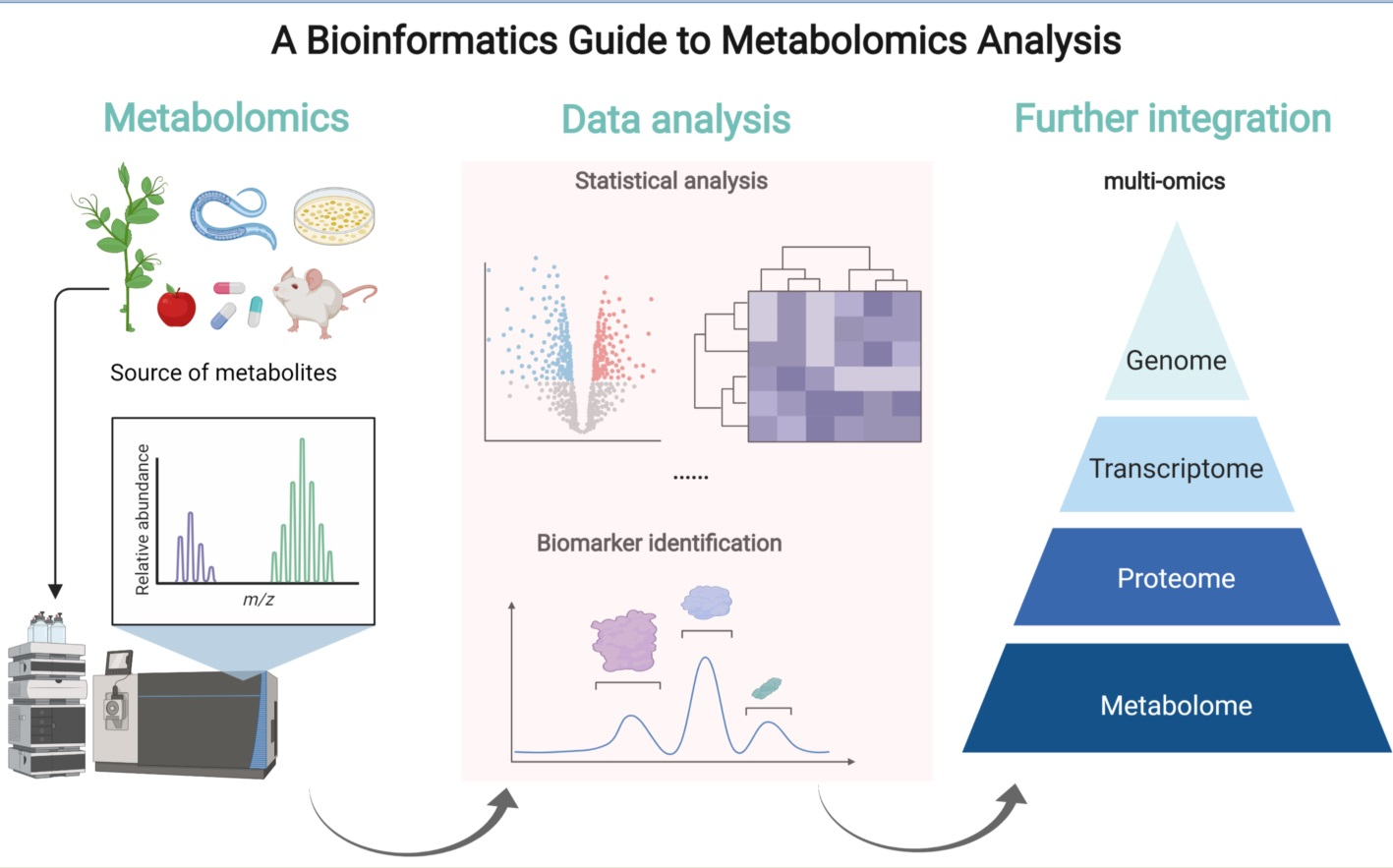 research on plant metabolomics