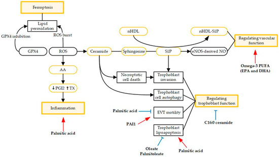 Metabolites | Free Full-Text | Dissecting the Roles of Lipids in ...