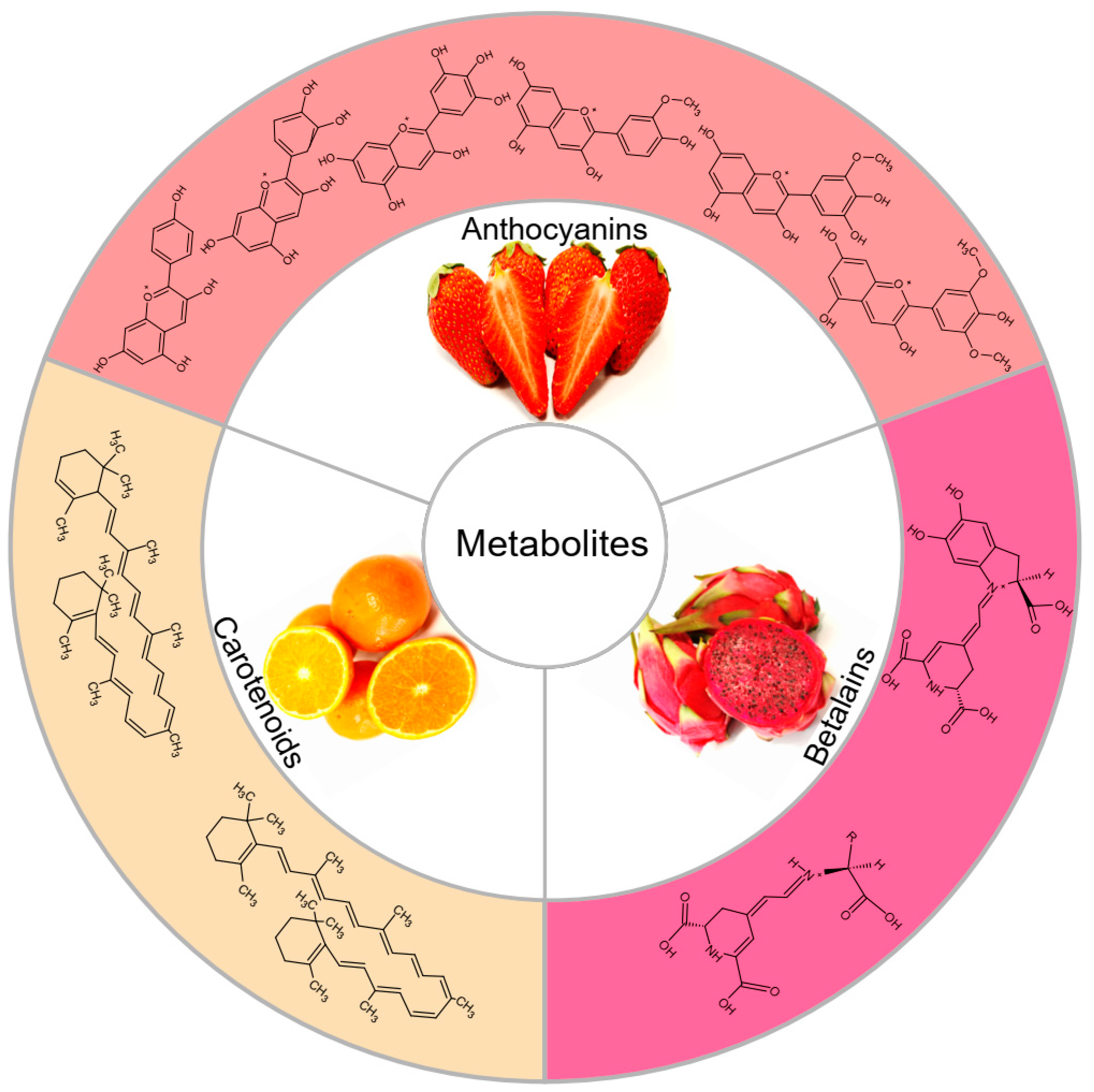 Metabolites Free Full-Text | Regulation Mechanism Plant Biosynthesis: Anthocyanins, and Betalains
