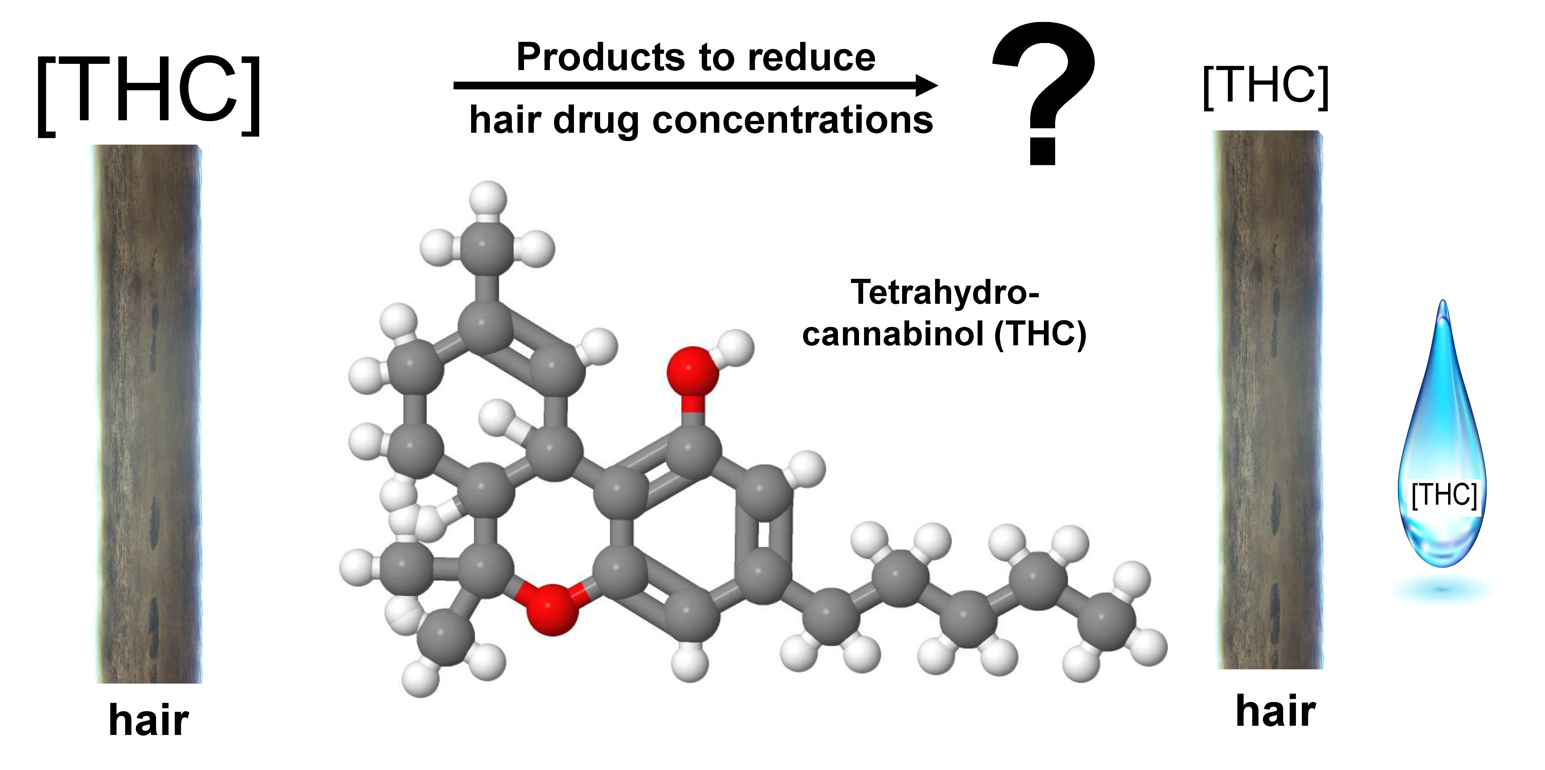 Metabolites | Free Full-Text | Manipulation of THC Hair Concentrations by  Commercially Available Products