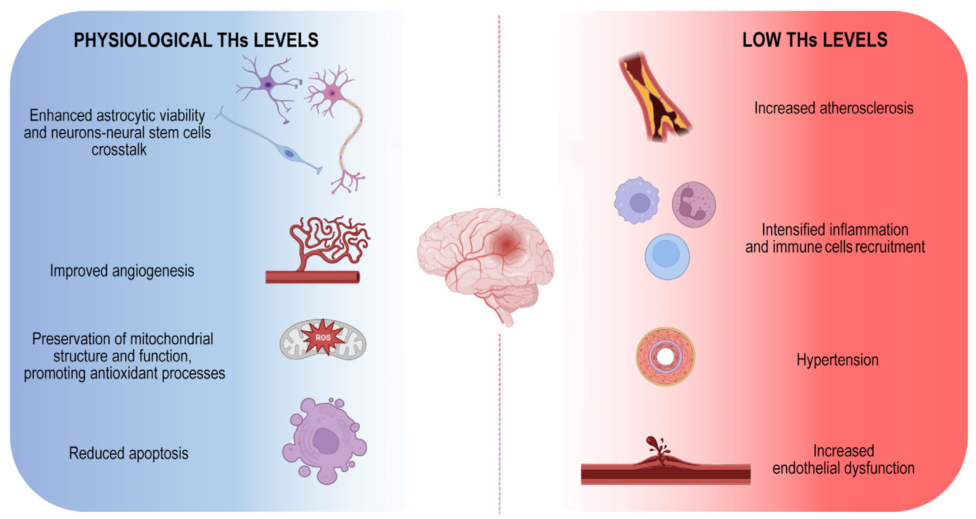 Metabolites Free Full Text Cardiovascular And Neuronal Consequences 