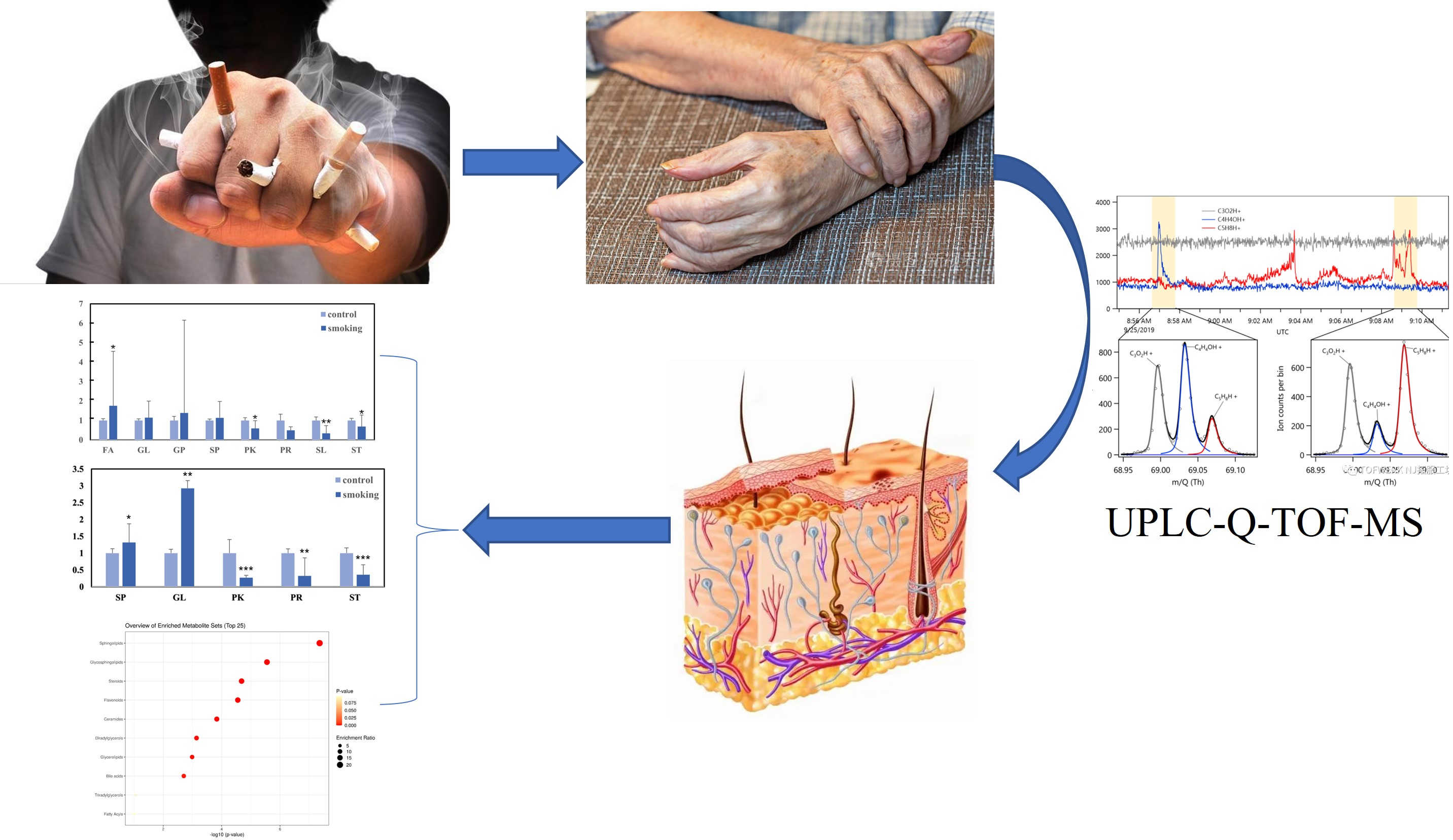 Metabolites | Free Full-Text | Lipidomic Analysis of Hand Skin 