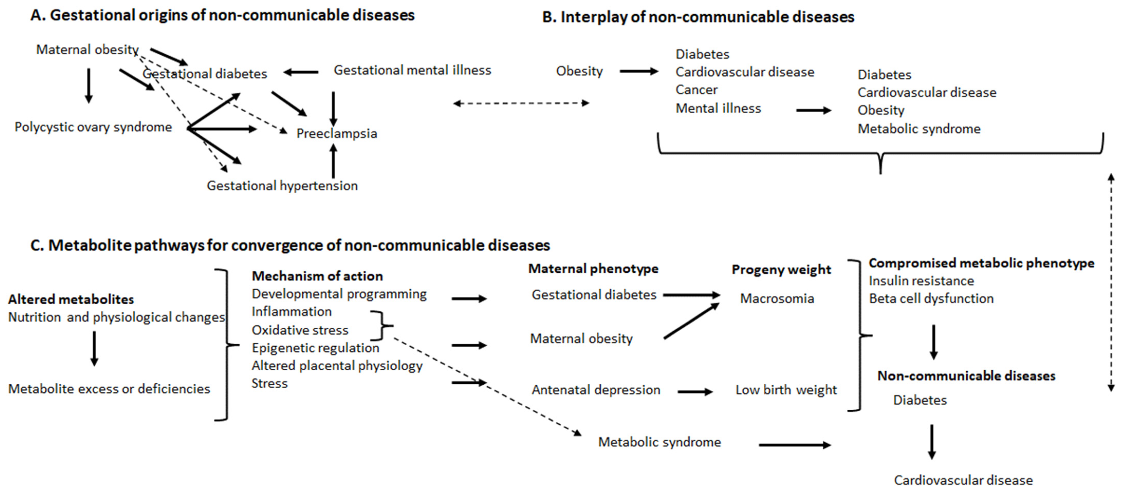 Metabolites | Free Full-Text | Maternal and Child Health, Non ...