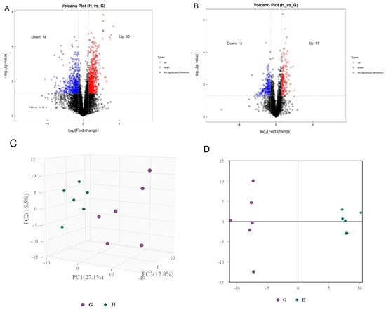 Metabolites | Free Full-Text | The Implications in Meat Quality and ...