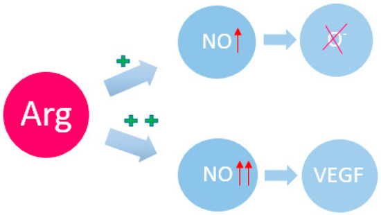 Metabolites | Free Full-Text | The Role of Amino Acids in Non 