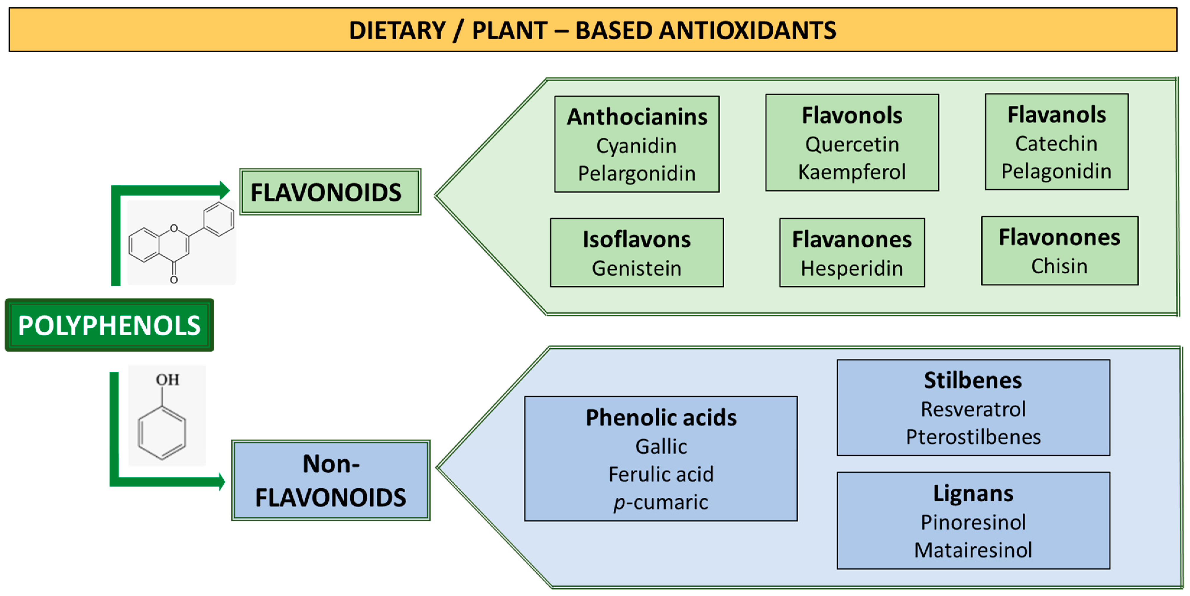 Metabolites | Free Full-Text | Comprehensive Strategies for Metabolic  Syndrome: How Nutrition, Dietary Polyphenols, Physical Activity, and  Lifestyle Modifications Address Diabesity, Cardiovascular Diseases, and  Neurodegenerative Conditions