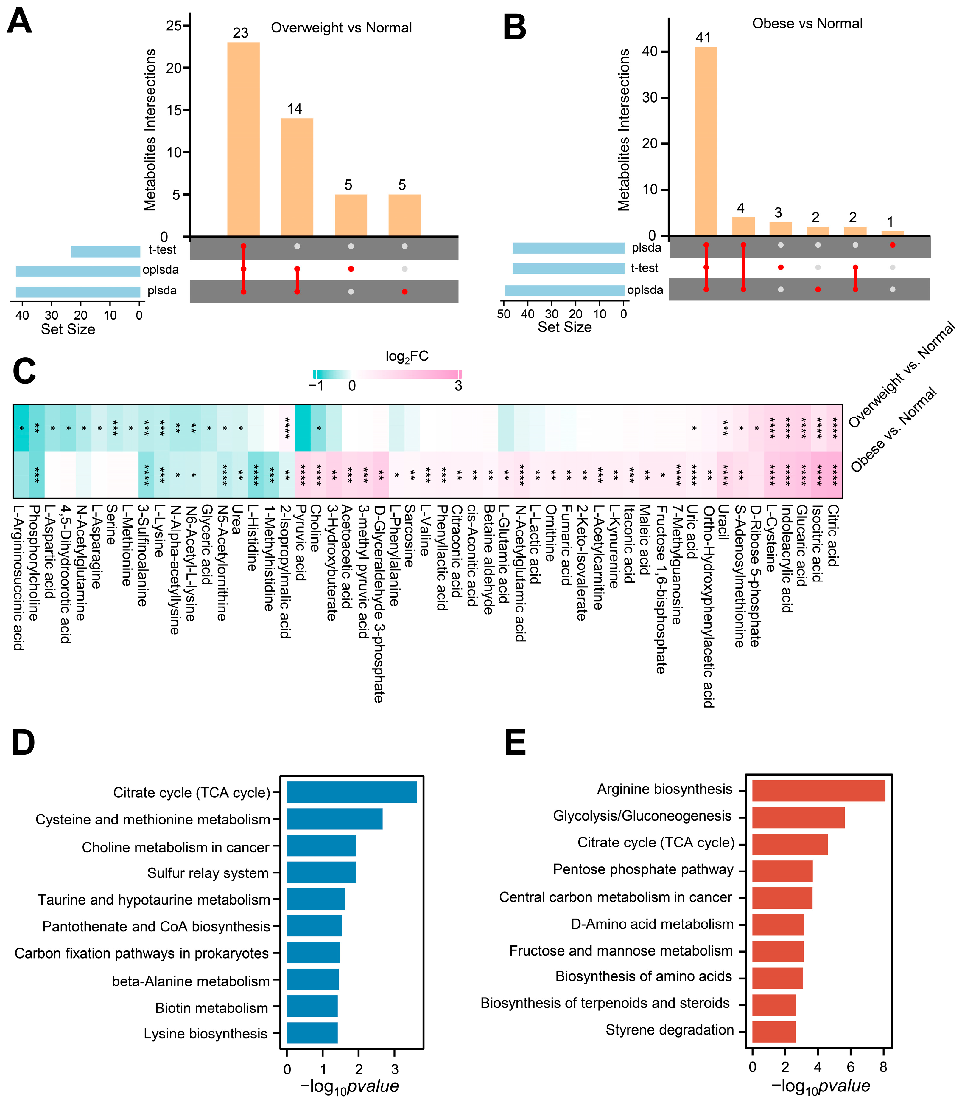 Metabolites | Free Full-Text | Serum Metabolomic And Lipidomic ...