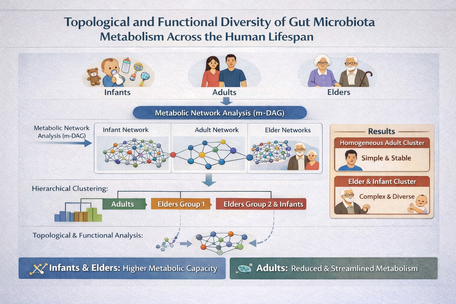 Topological and Functional Diversity of Gut Microbiota Metabolism ...