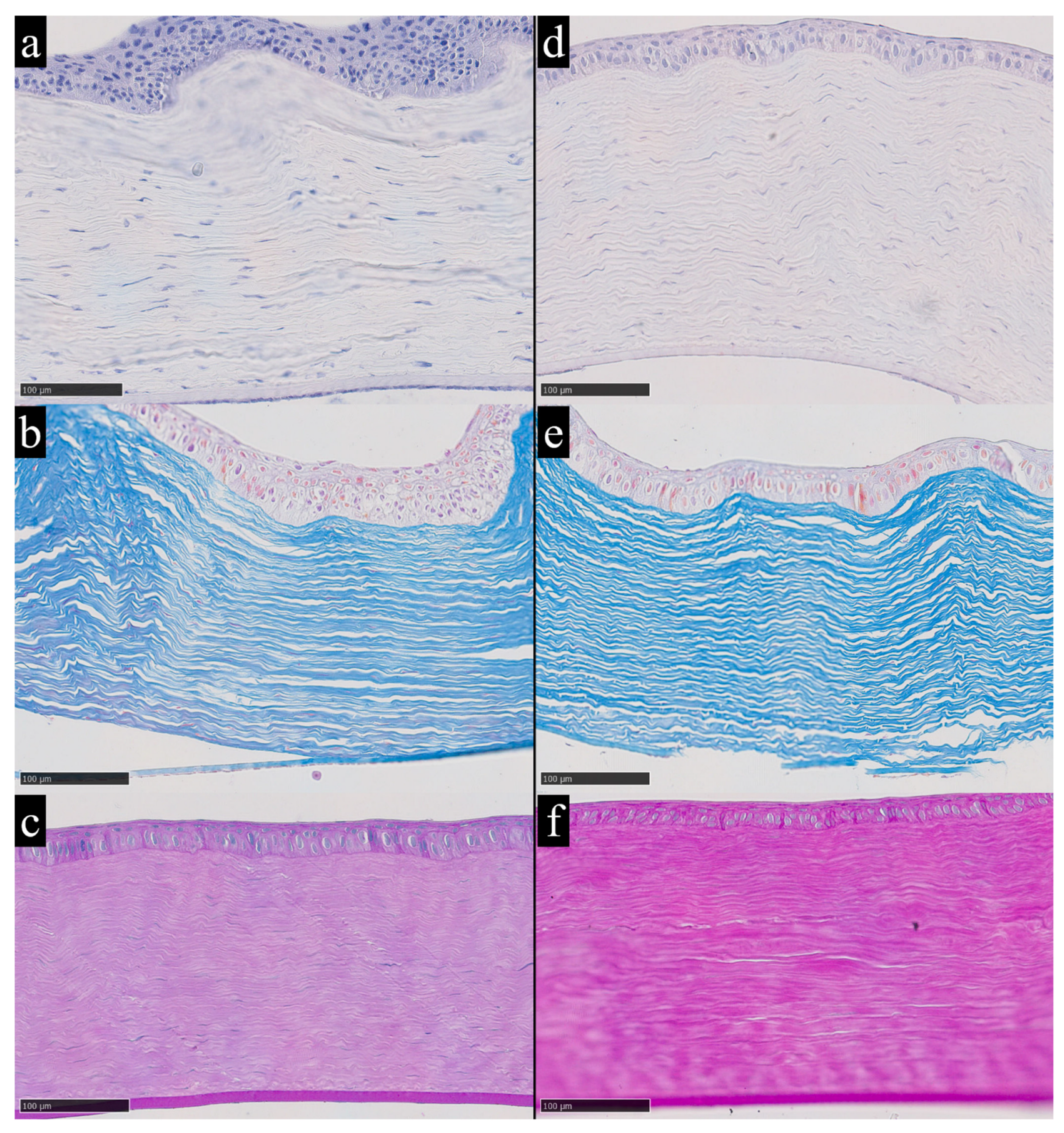 An Initial Assessment of Rabbit Cornea as a Biomarker of Trace-Element ...