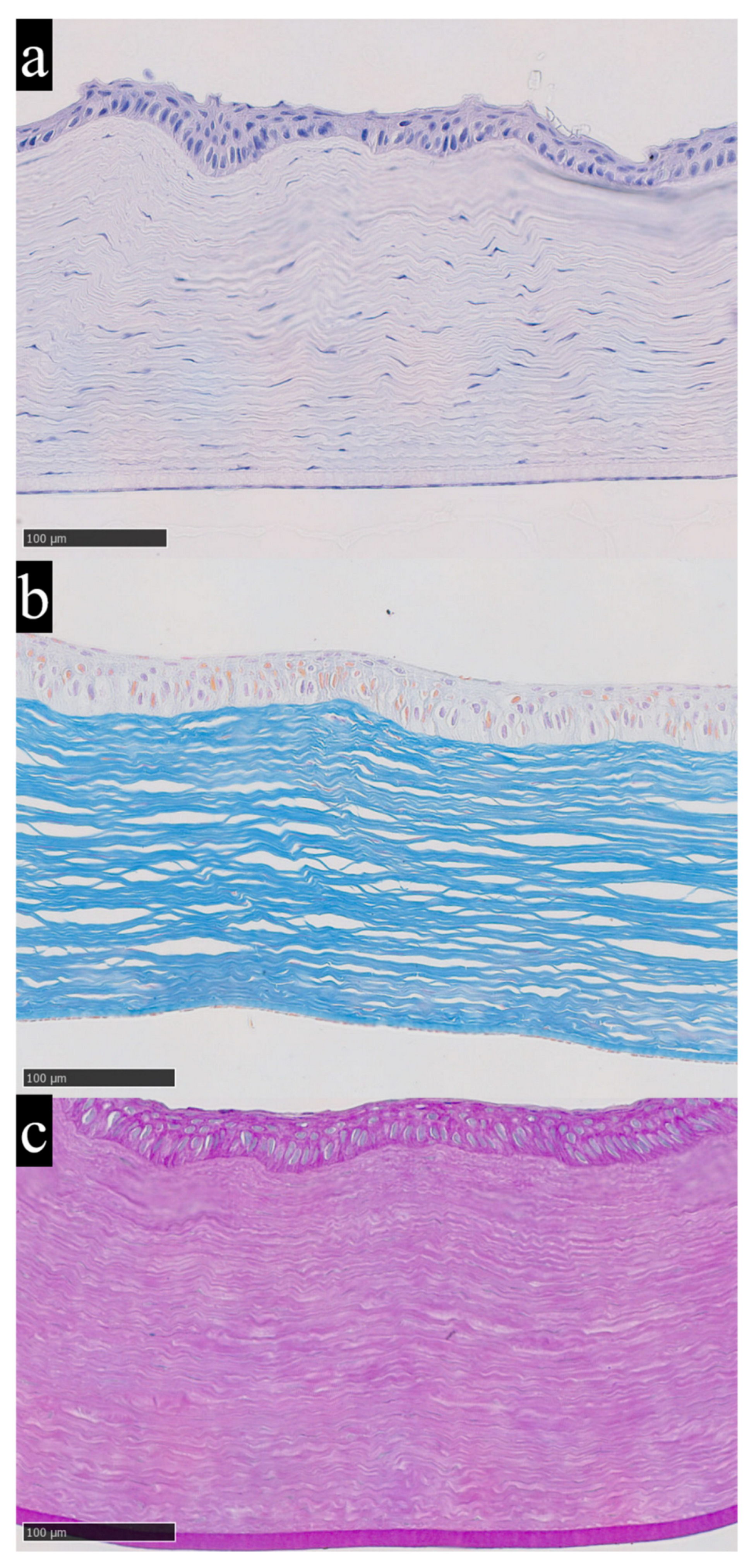 An Initial Assessment of Rabbit Cornea as a Biomarker of Trace-Element ...