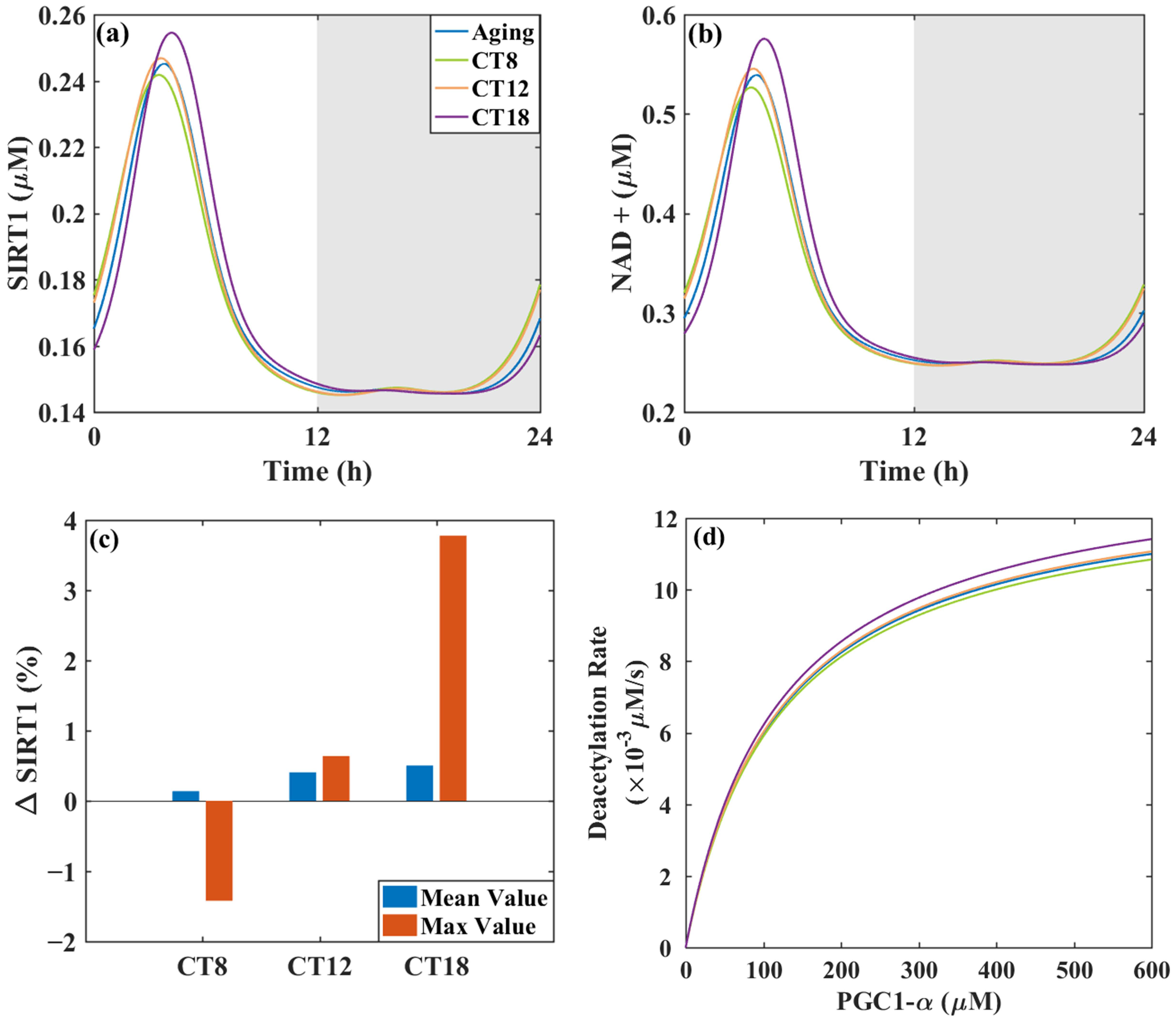 Metformin Regulation of the Liver Circadian Clock and Metabolic Aging ...