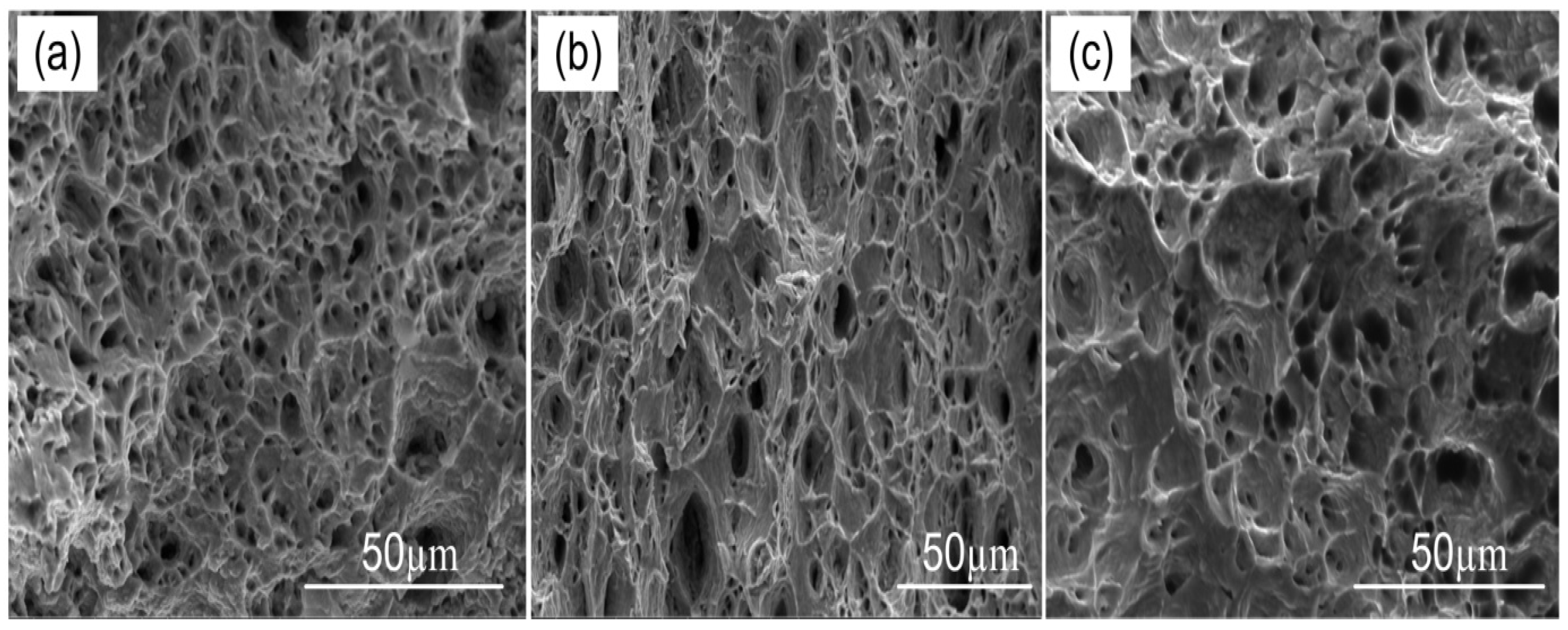 Metals | Free Full-Text | Mechanical Response and Failure Evolution of ...