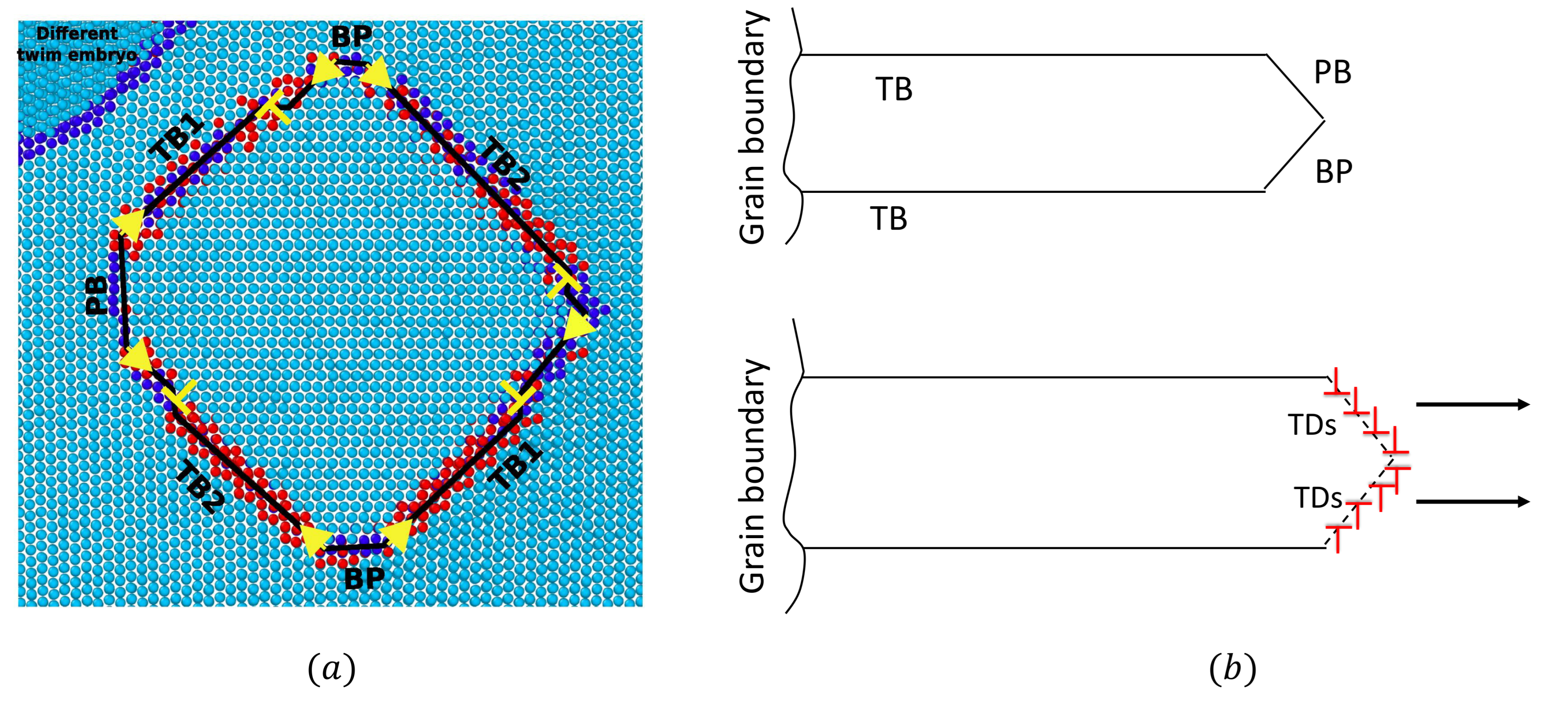 PDF) Twin nucleation in Ti: A study using nudged elastic band (NEB