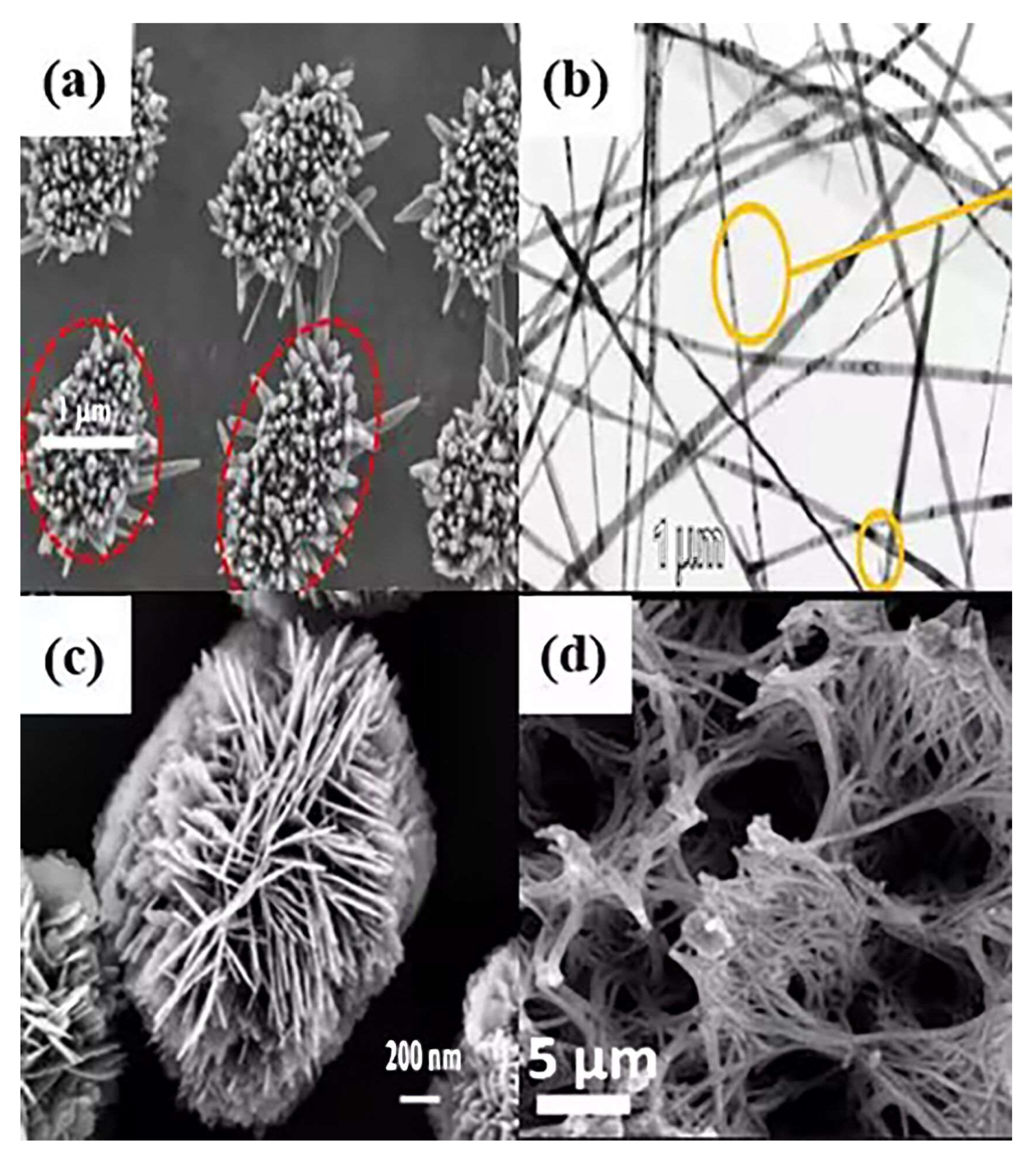 Metals | Free Full-Text | Nano-Biosensors Based on Noble Metal and 