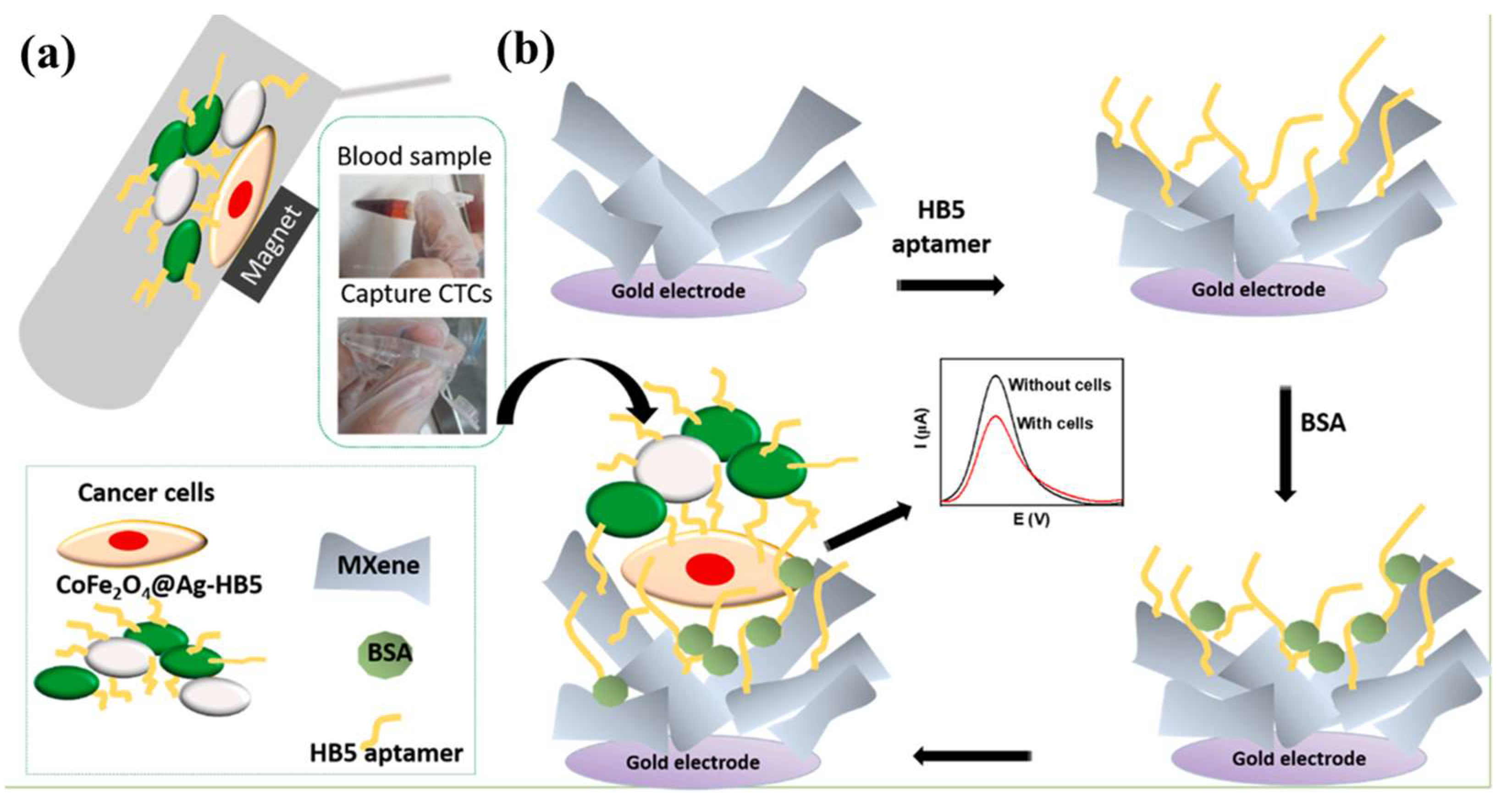 Metals | Free Full-Text | Nano-Biosensors Based on Noble Metal and 