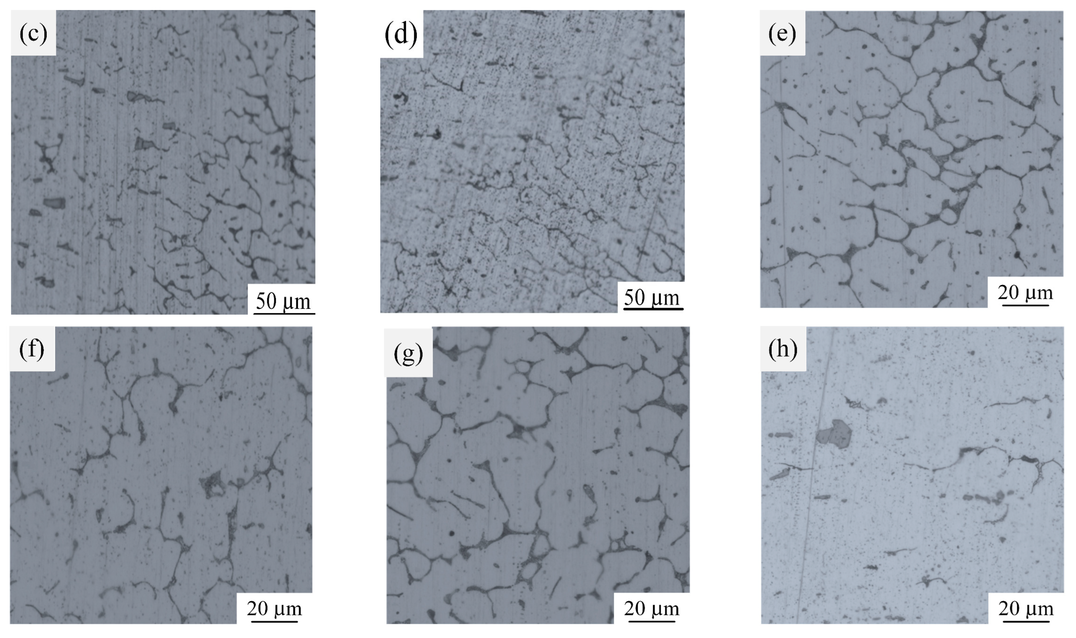 Metals | Free Full-Text | Study on the Morphology, Microstructure 