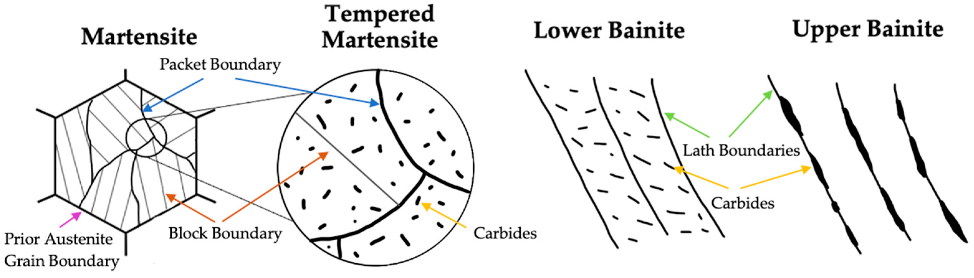 Schematic representation of the formation of upper and lower bainite   Download Scientific Diagram