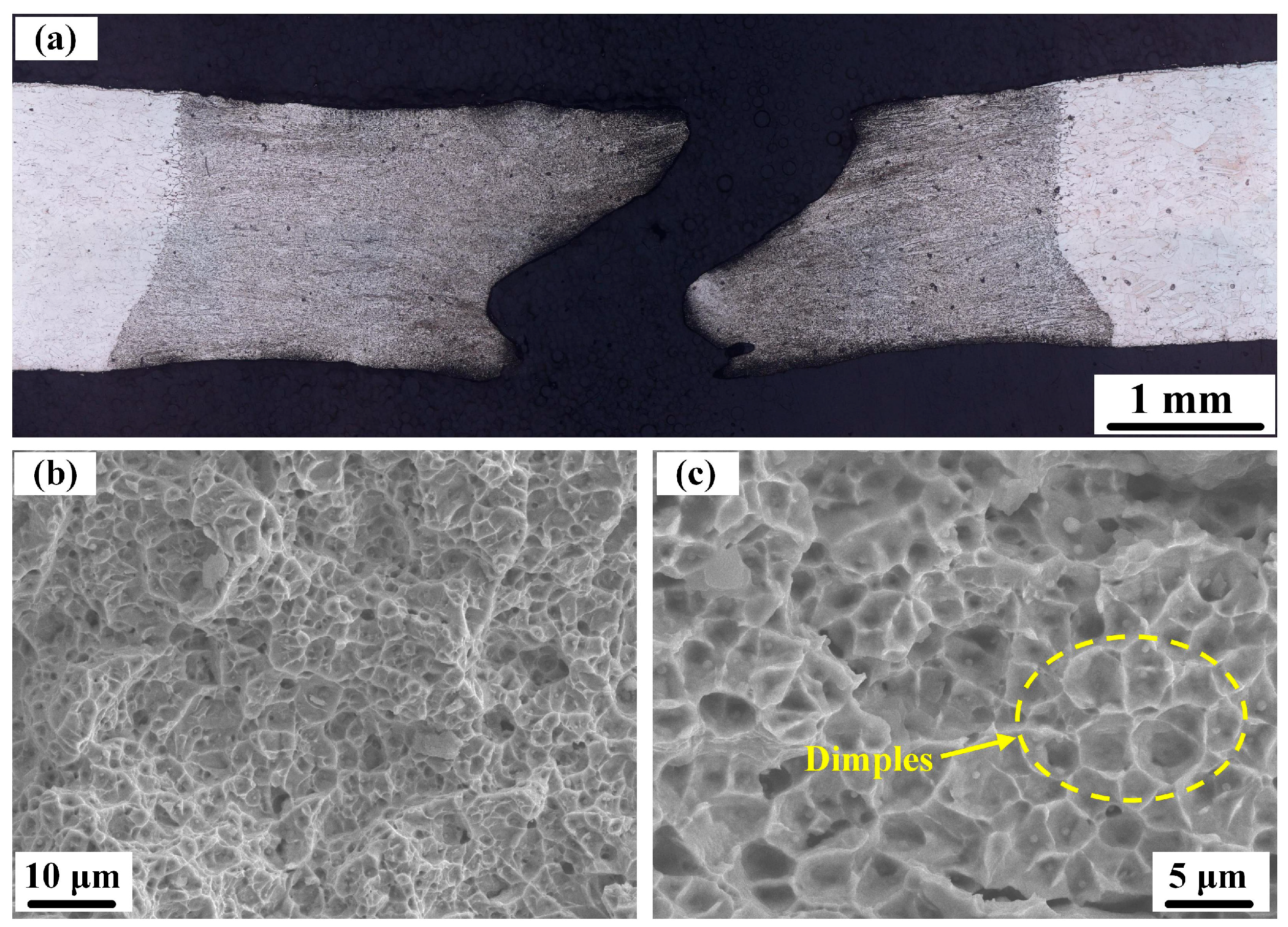Effect of Laser Power on Microstructure and Mechanical Properties of ...