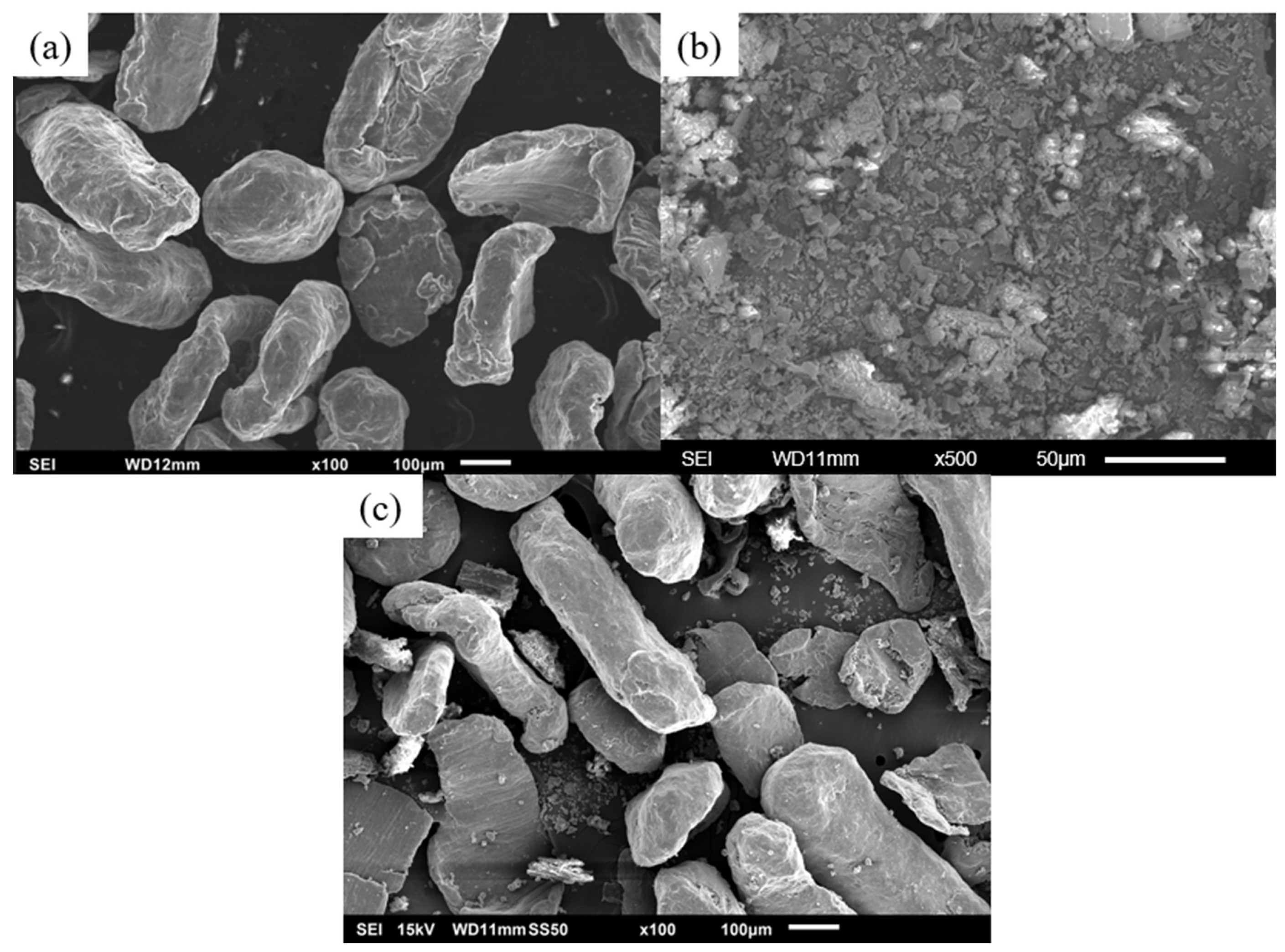 Development and Characteristics of New Biobased Magnesium Composites