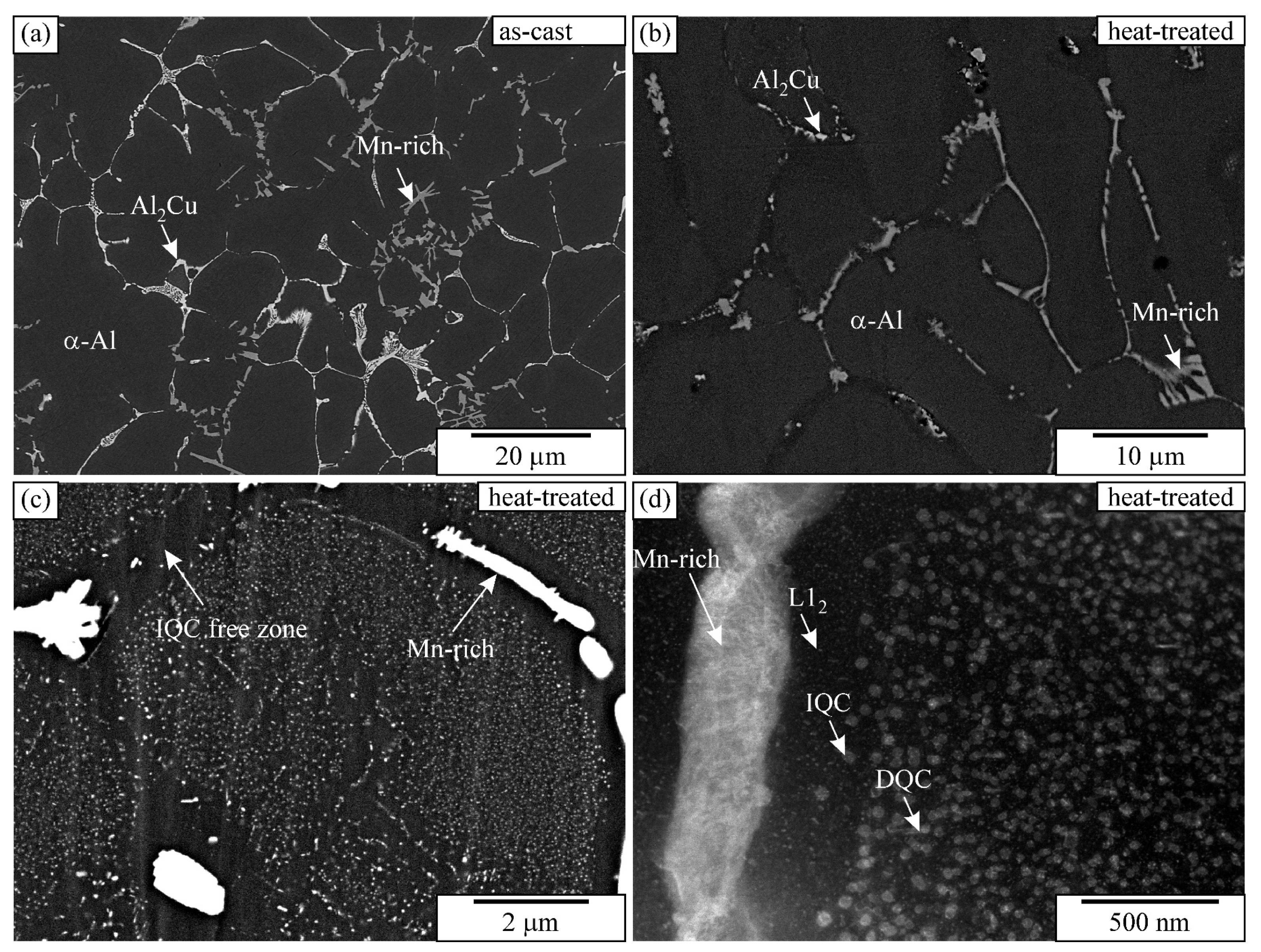 Microstructural Evolution in the Stir Zone of a Friction-Stir-Processed ...