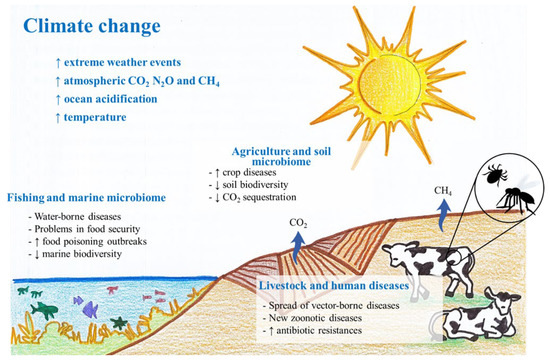 Microbiology Research | Free Full-Text | Microorganisms And Climate ...