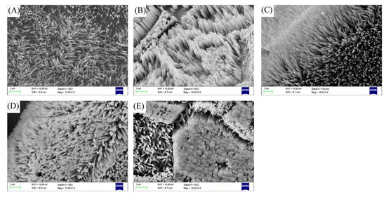 Micromachines | Free Full-Text | Fabriction of ZnO Nanorods with 