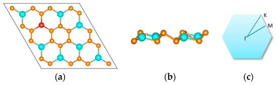 Micromachines | Free Full-Text | Spin Polarization Properties of Two 