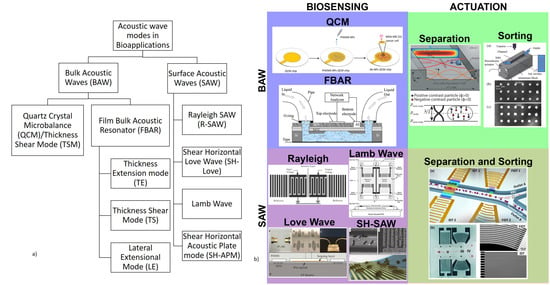Micromachines | Free Full-Text | Acoustic Biosensors and 