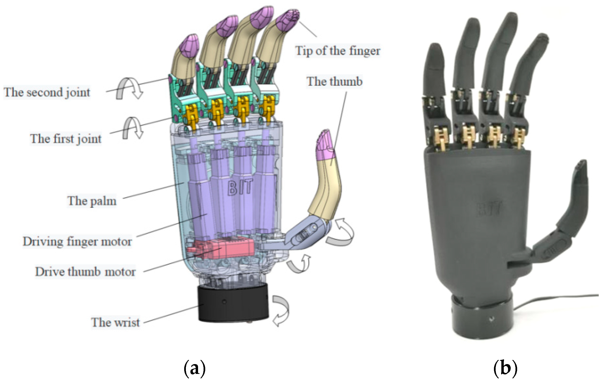 The Science Behind How Prosthetic Hands Work