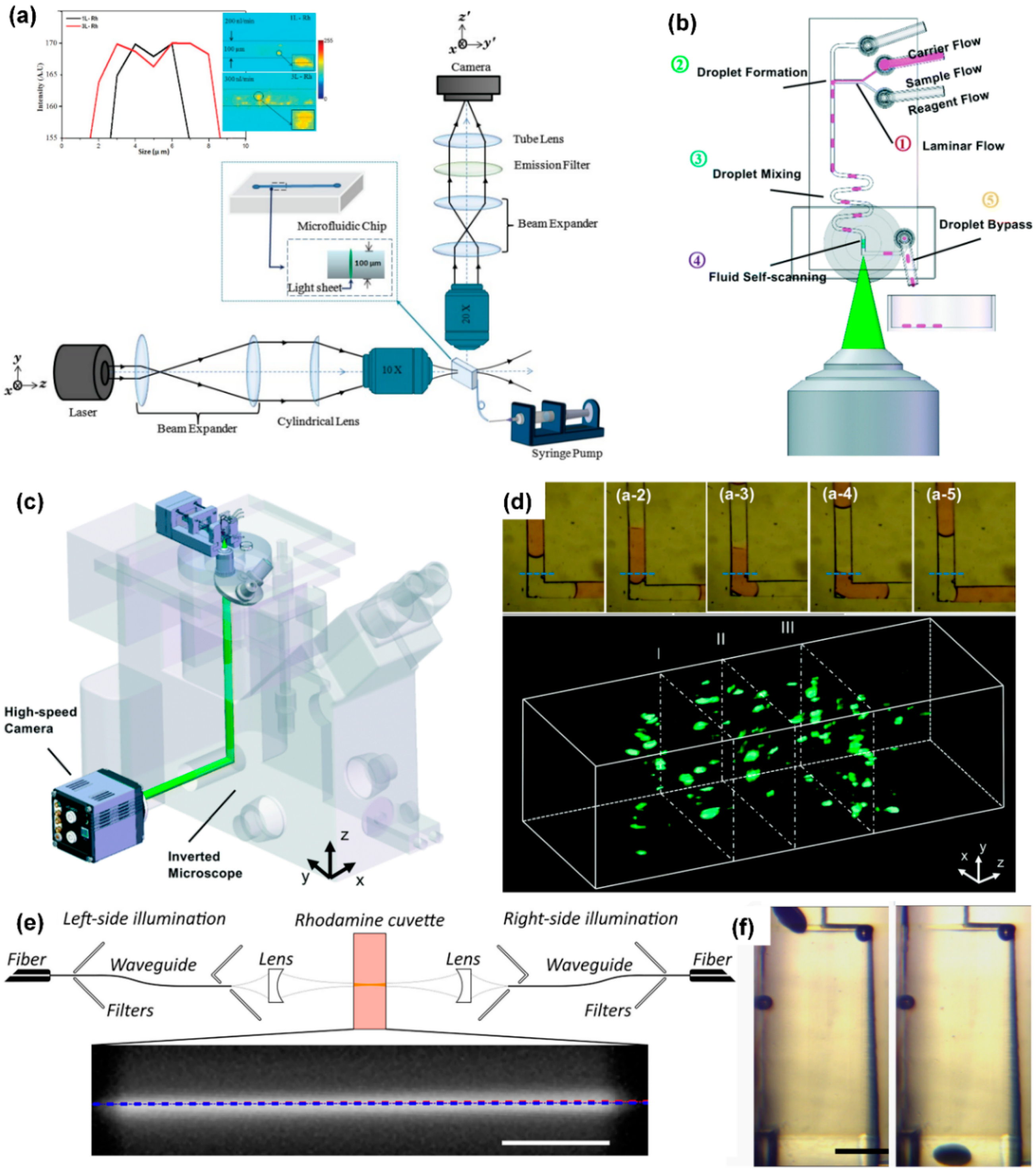 Micromachines Free Full Text A Review of Optical Imaging