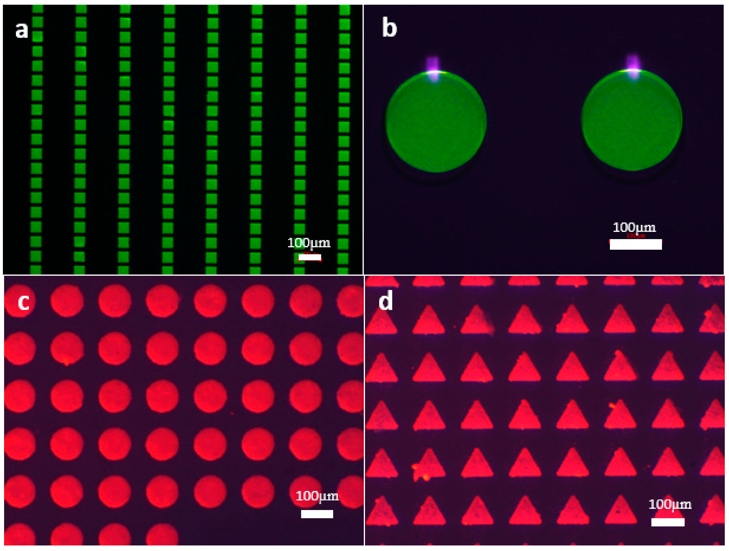 Red and Green Quantum Dot Color Filter for Full-Color Micro-LED Arrays