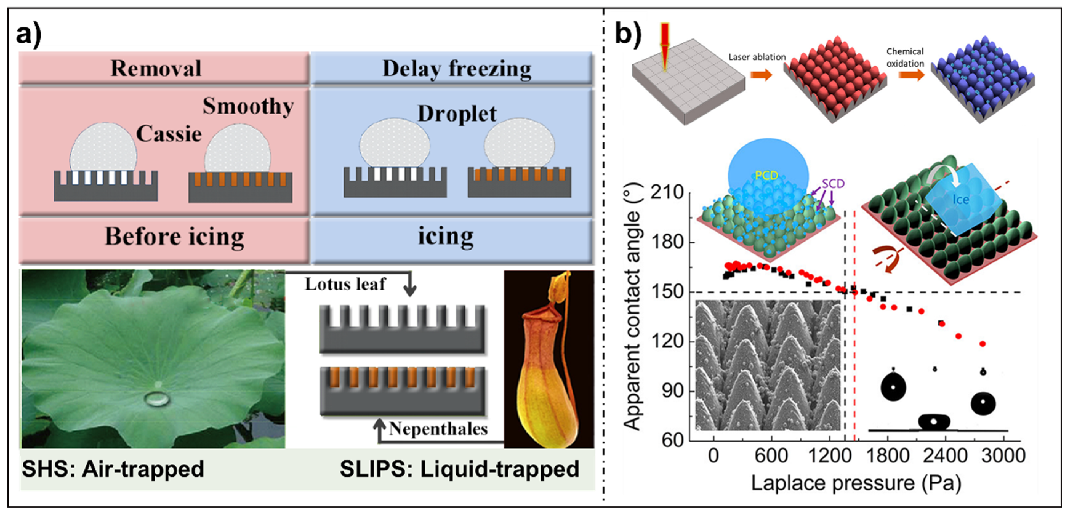 Water-repellent Hybrid Nanowire and Micro-scale Denticle Structures on  Flexible Substrates of Effective Air Retention