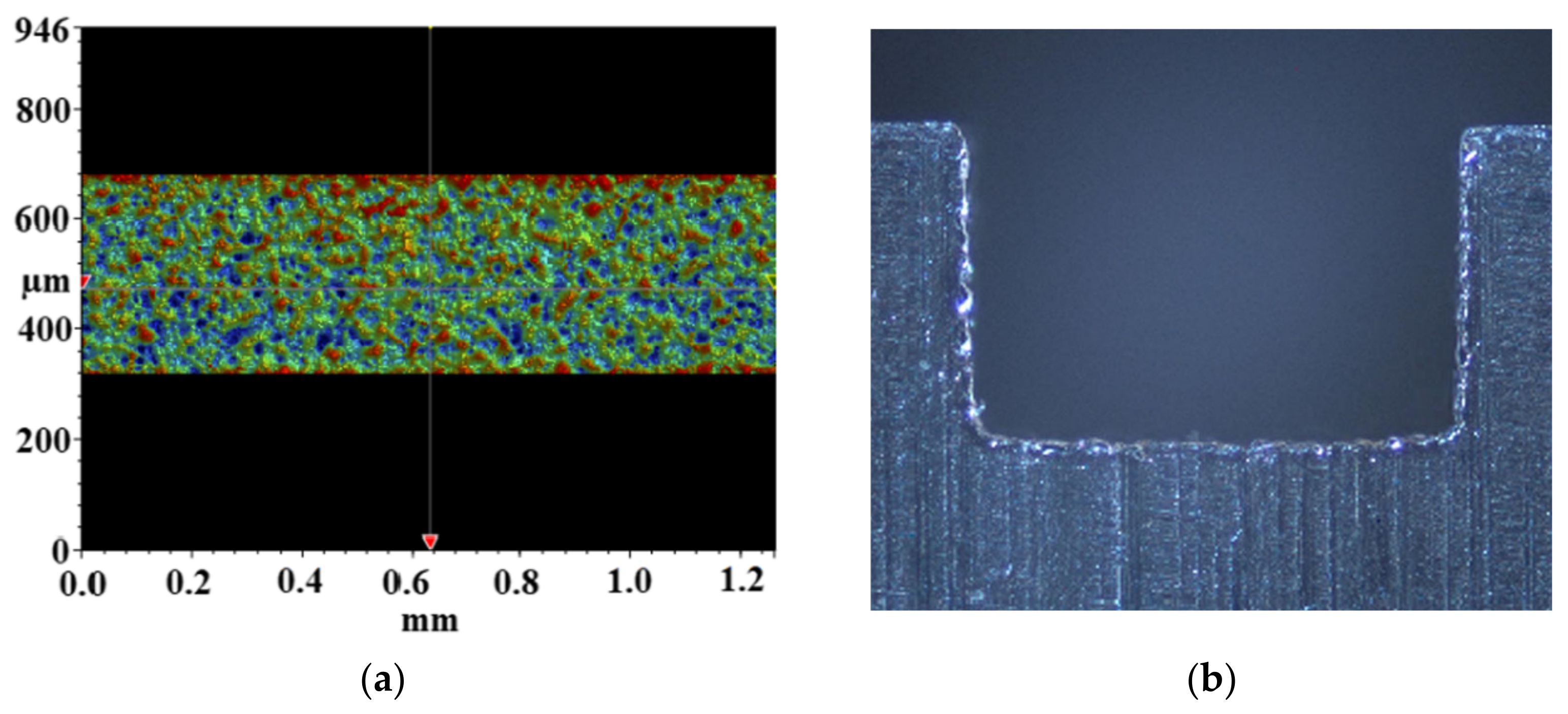 Micromachines | Free Full-Text | A Review of the Complex Flow and 