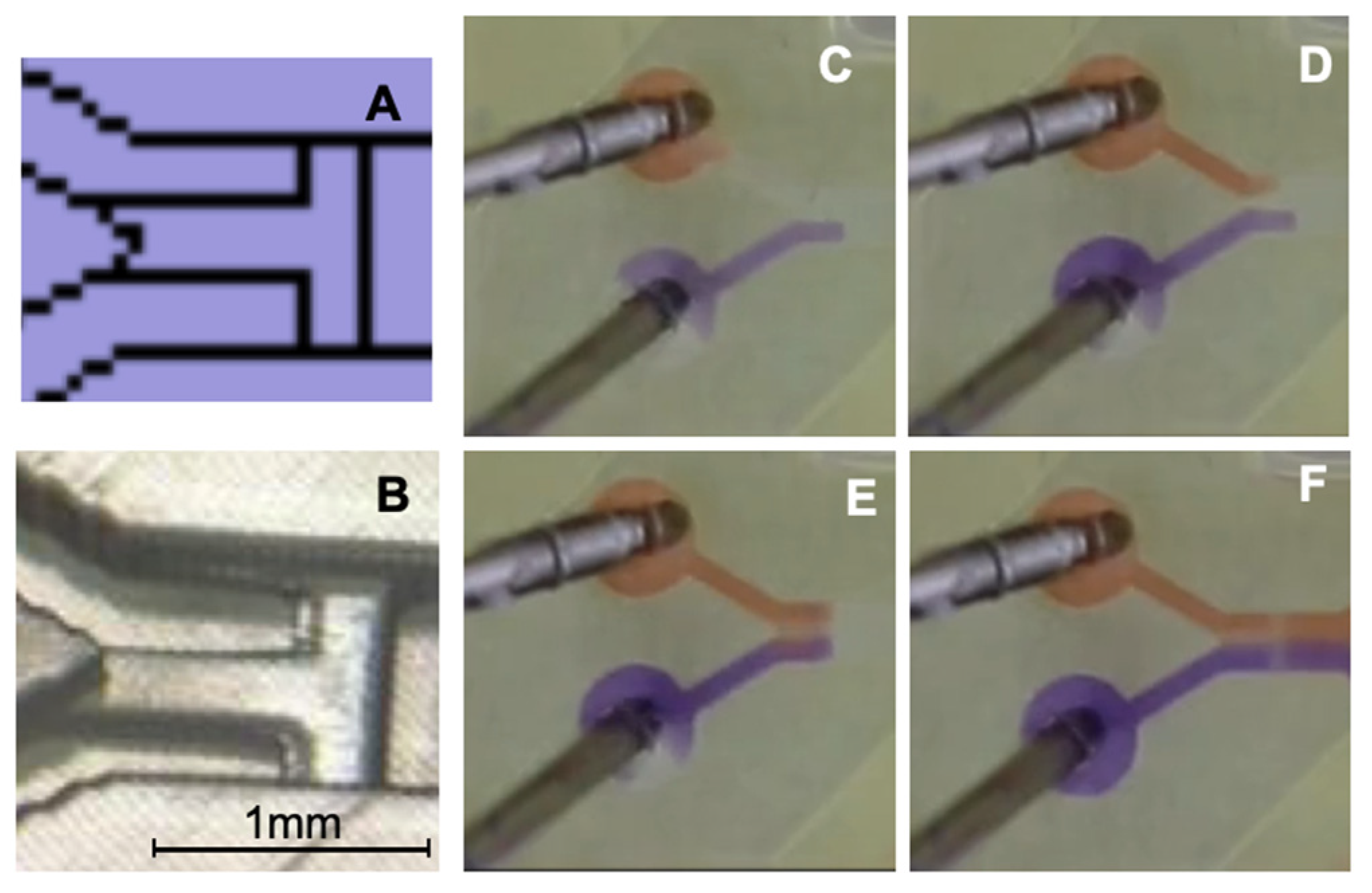 3D-Printed Microfluidic Chip System with Integrated Fluidic Breakers ...