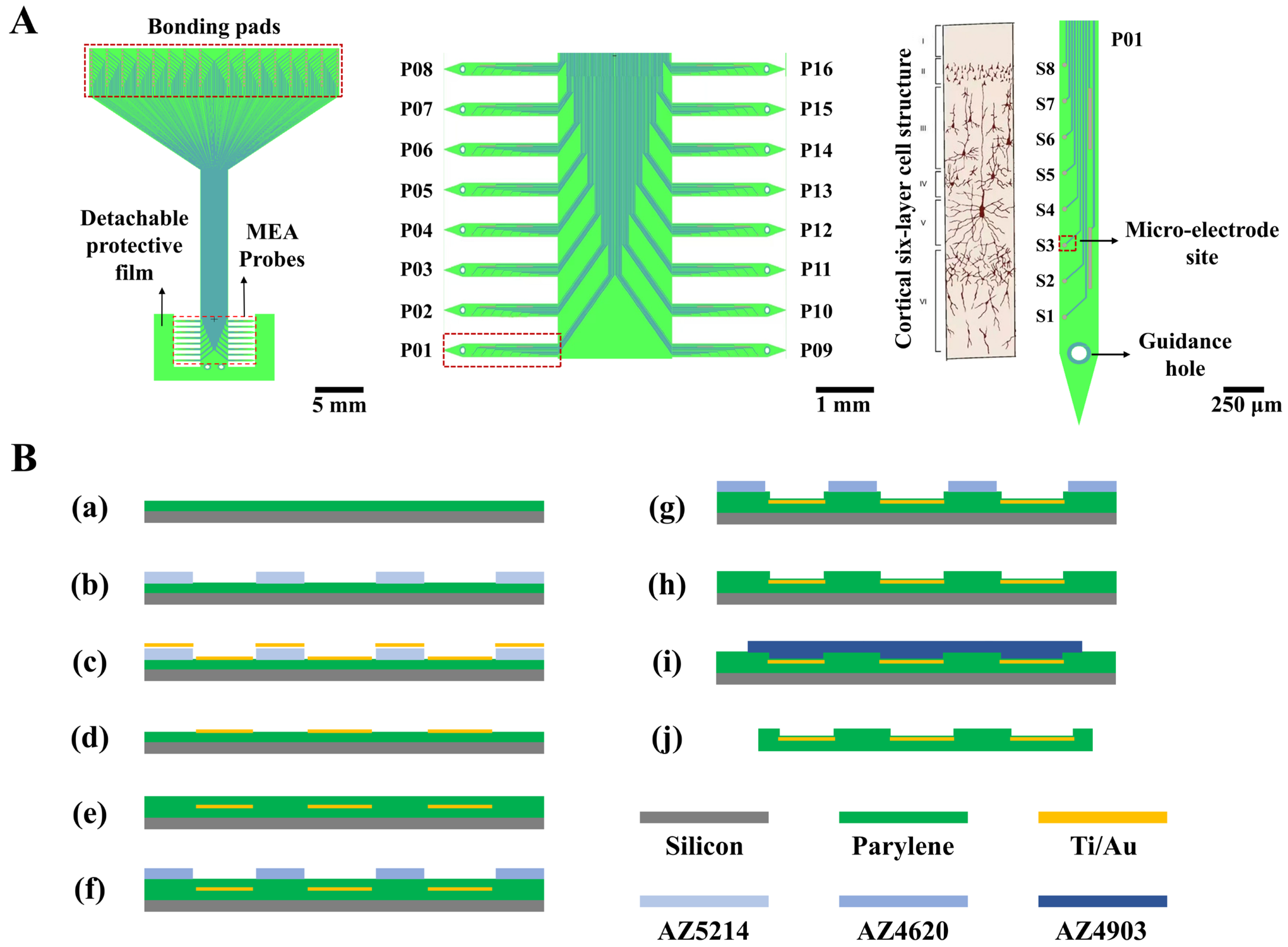 A Comb-Shaped Flexible Microelectrode Array for Simultaneous Multi ...
