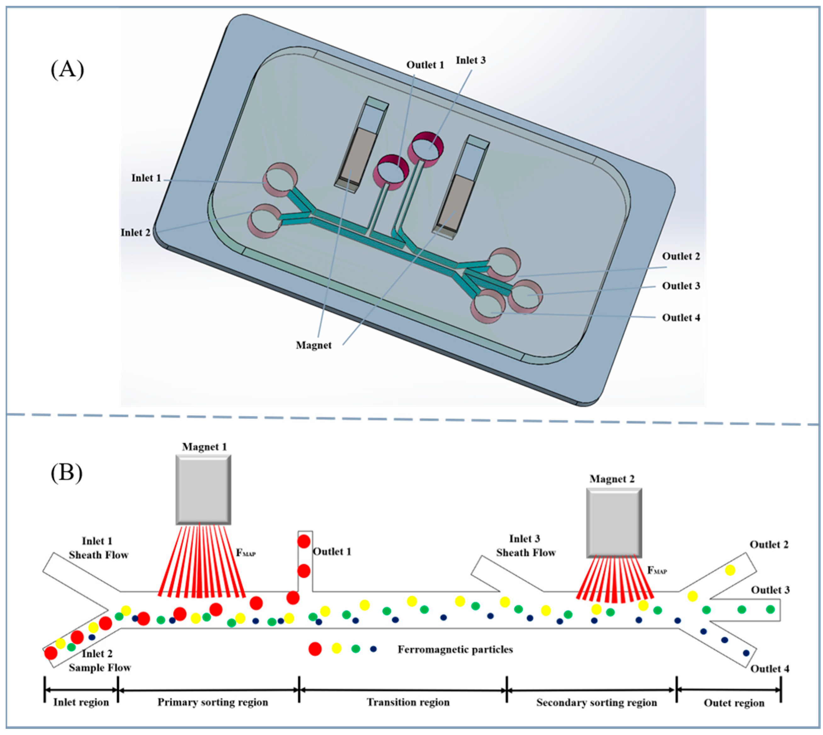 Design and Study of a Microfluidic Chip for Two-Stage Sorting of Oil ...