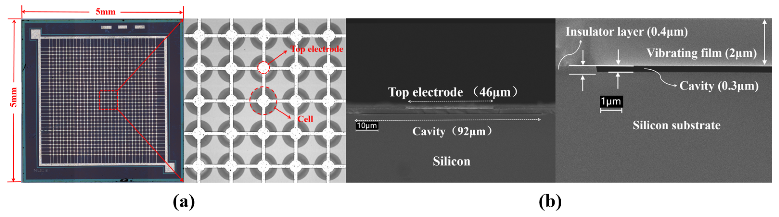 High-Precision Salt Concentration Detection Using a CMUT Array with ...