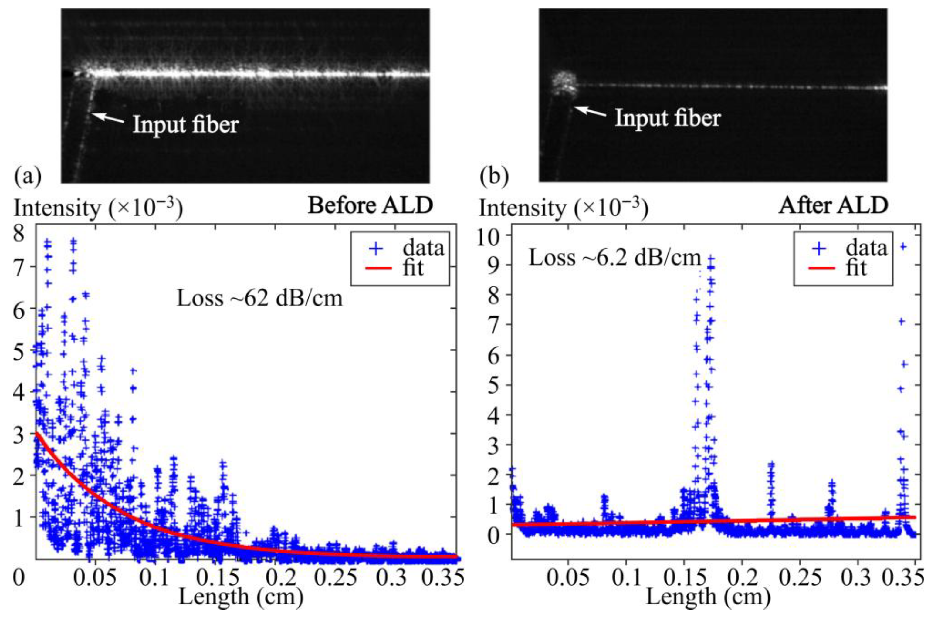 Surface and Interface Engineering in Integrated Photonic Sensors ...