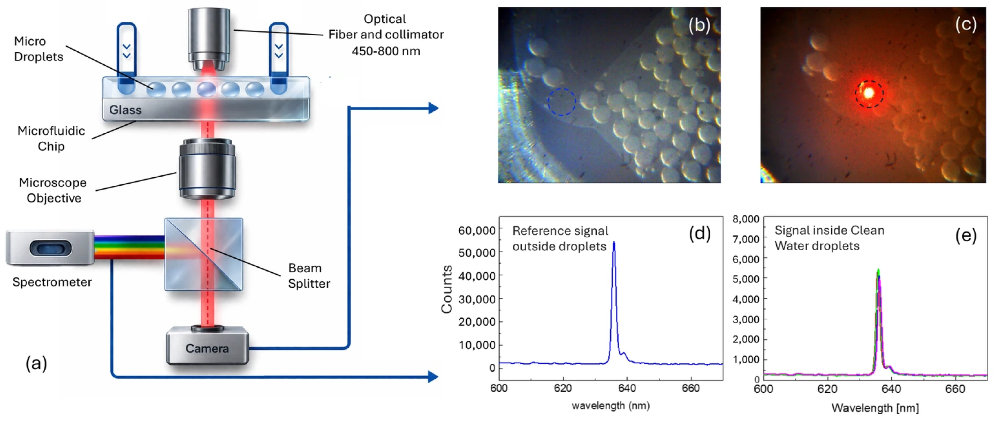 A Droplet-Based Microfluidic Platform for Rapid Optical Detection of ...