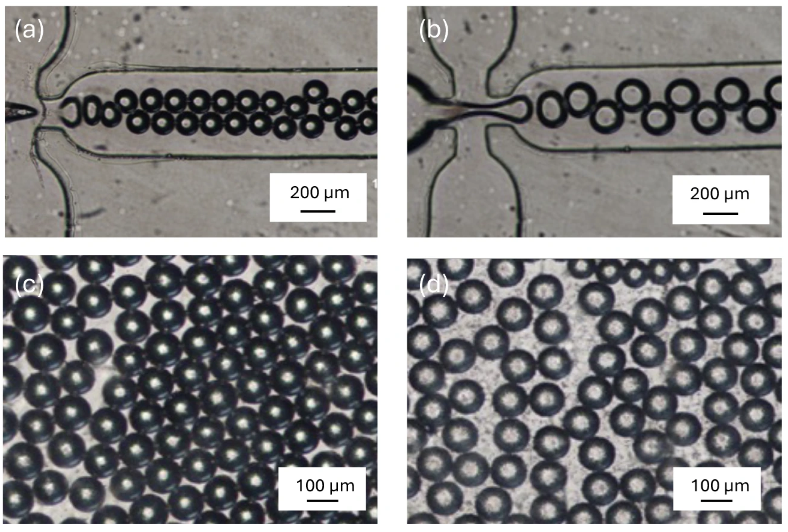 A Droplet-Based Microfluidic Platform for Rapid Optical Detection of ...