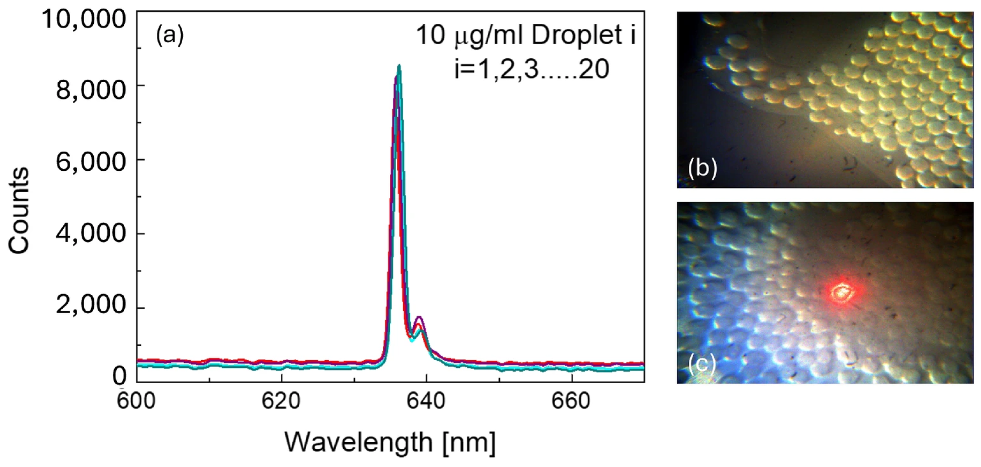A Droplet-Based Microfluidic Platform for Rapid Optical Detection of ...